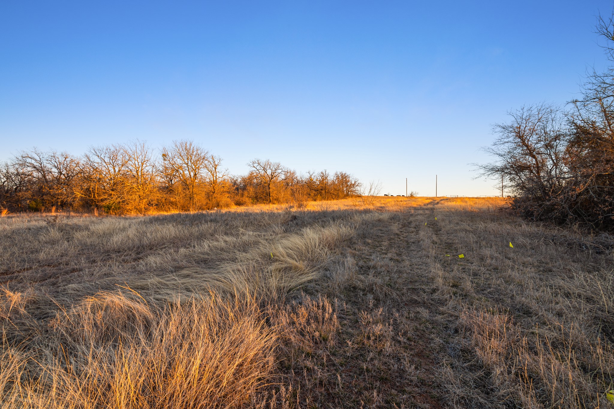Lot County Road 3519