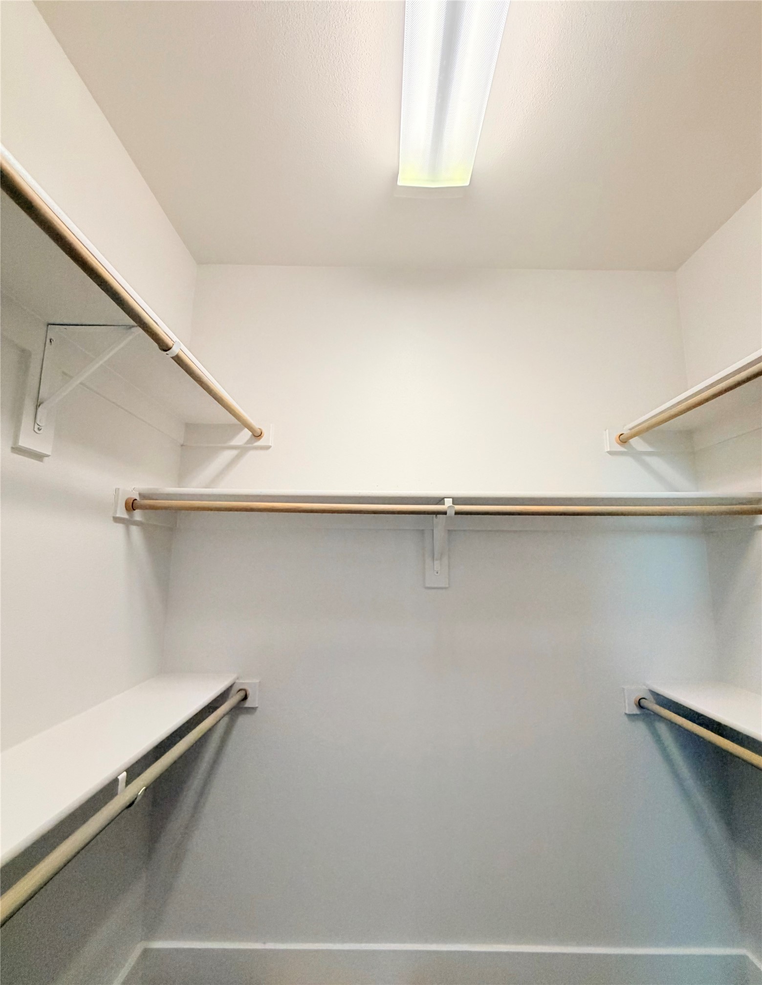 212 Stellariga Place
