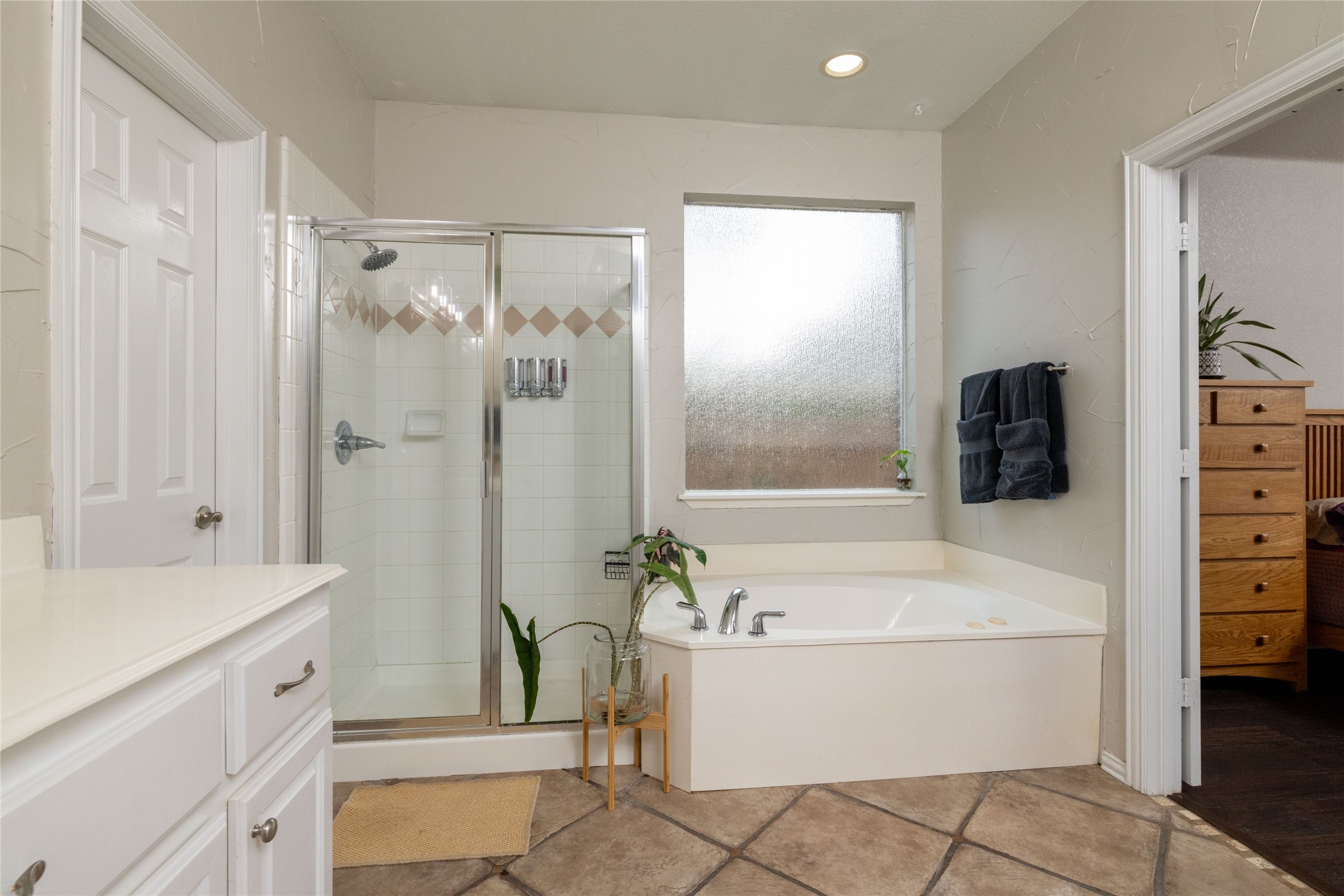 1310 Clear Springs Drive