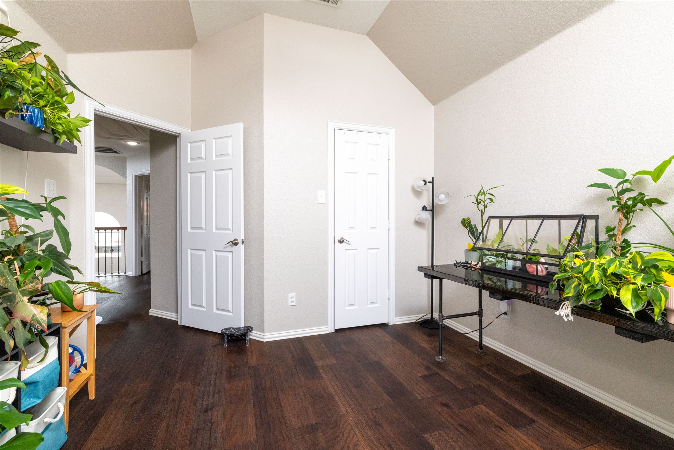 1310 Clear Springs Drive