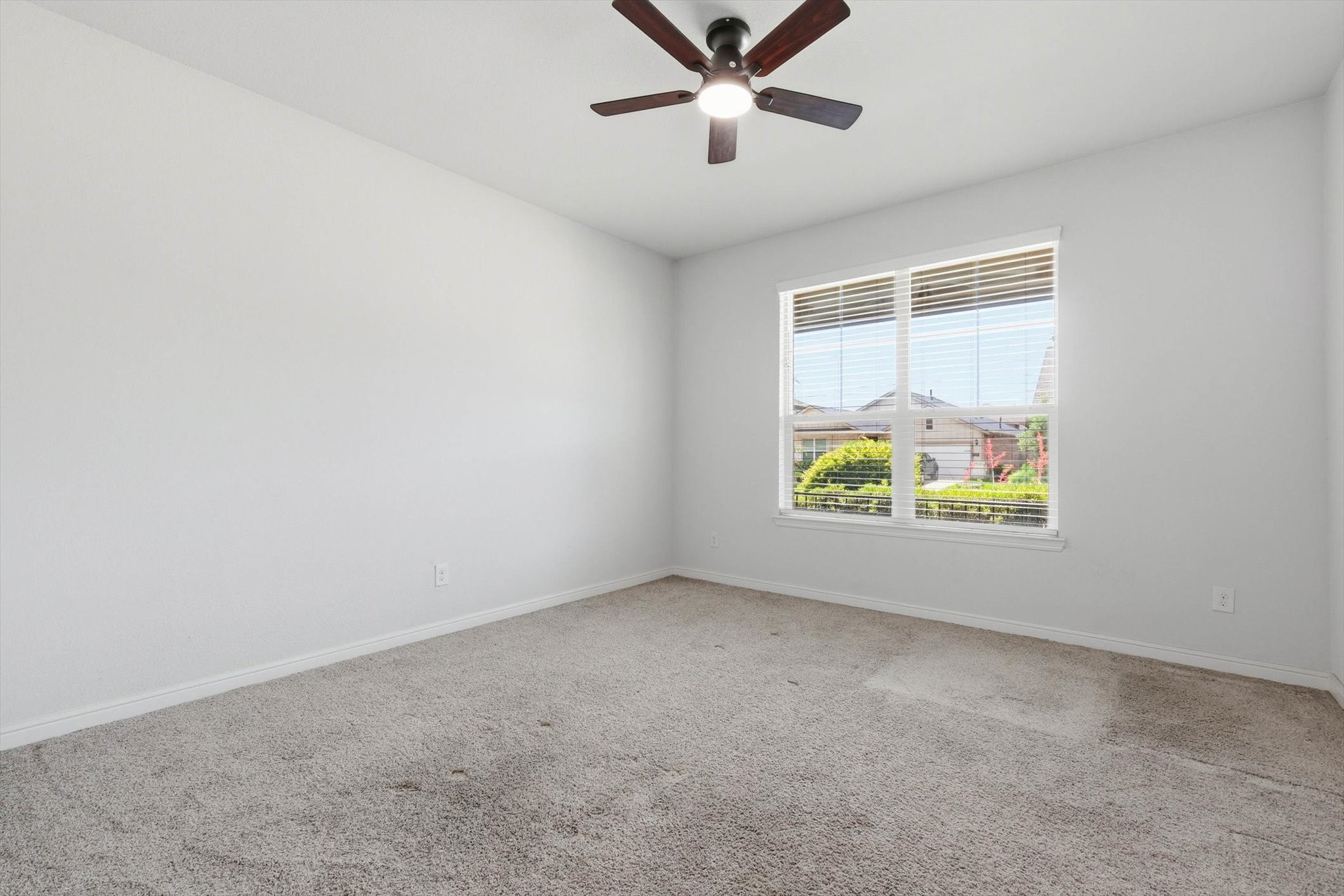 2524 Little Wonder Lane