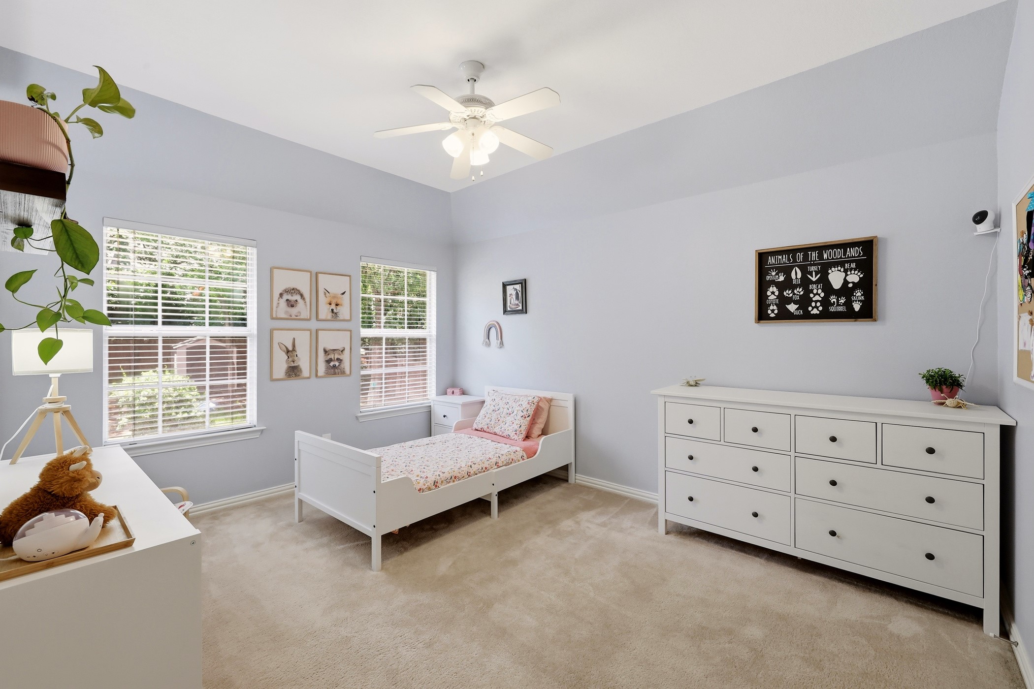 3228 Horseshoe Drive