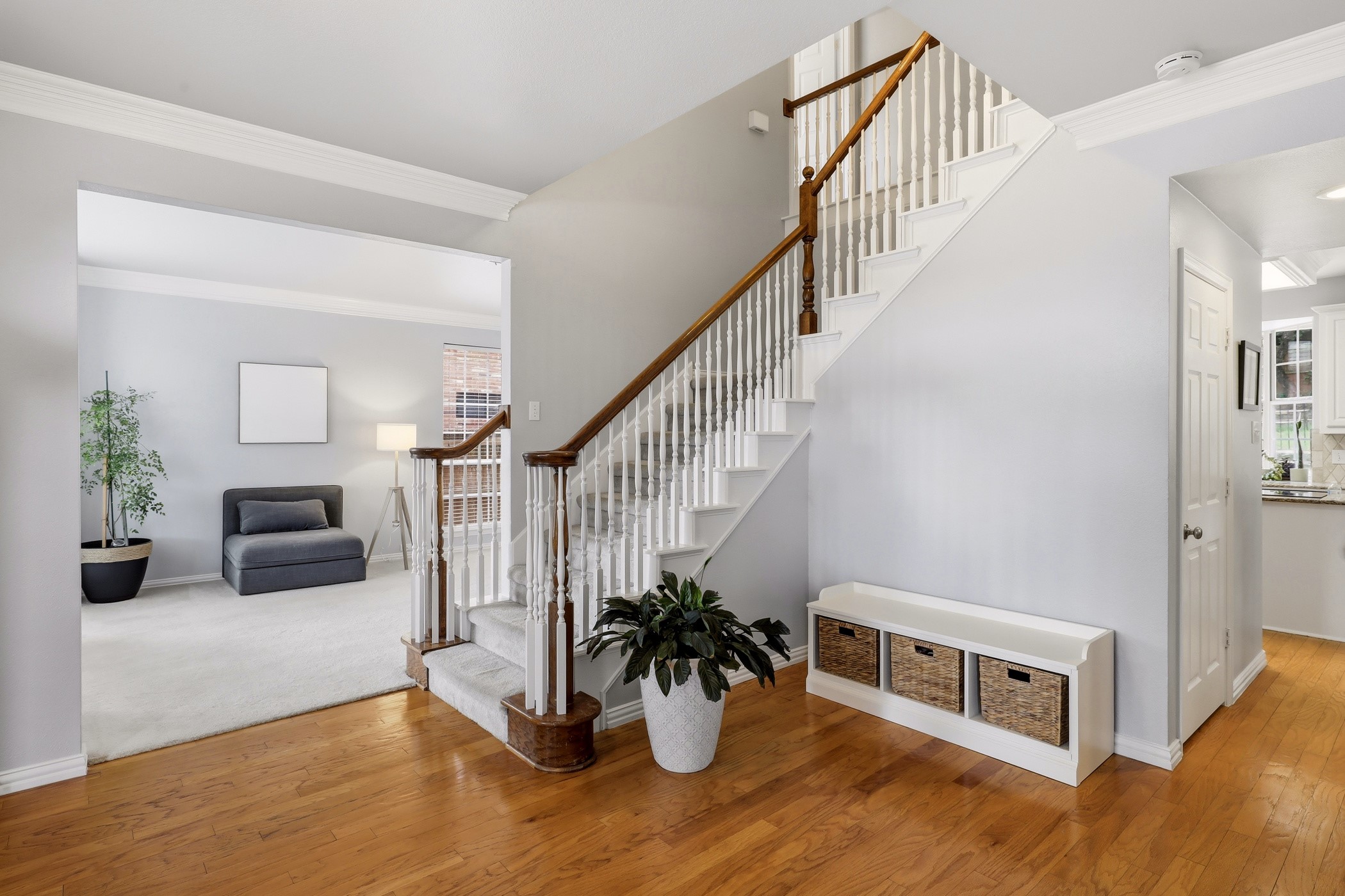 3228 Horseshoe Drive