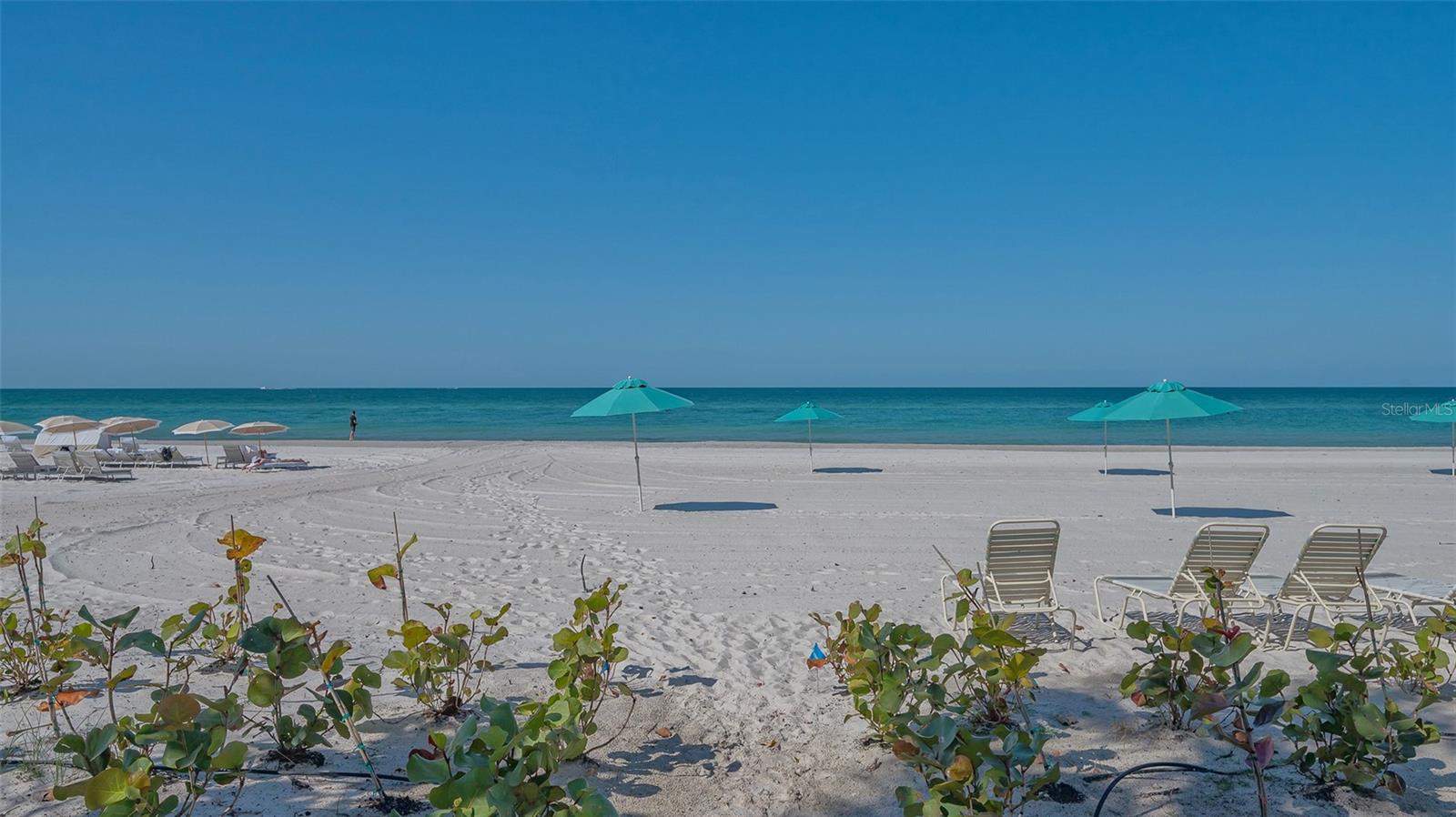 1701 GULF OF MEXICO DR #502