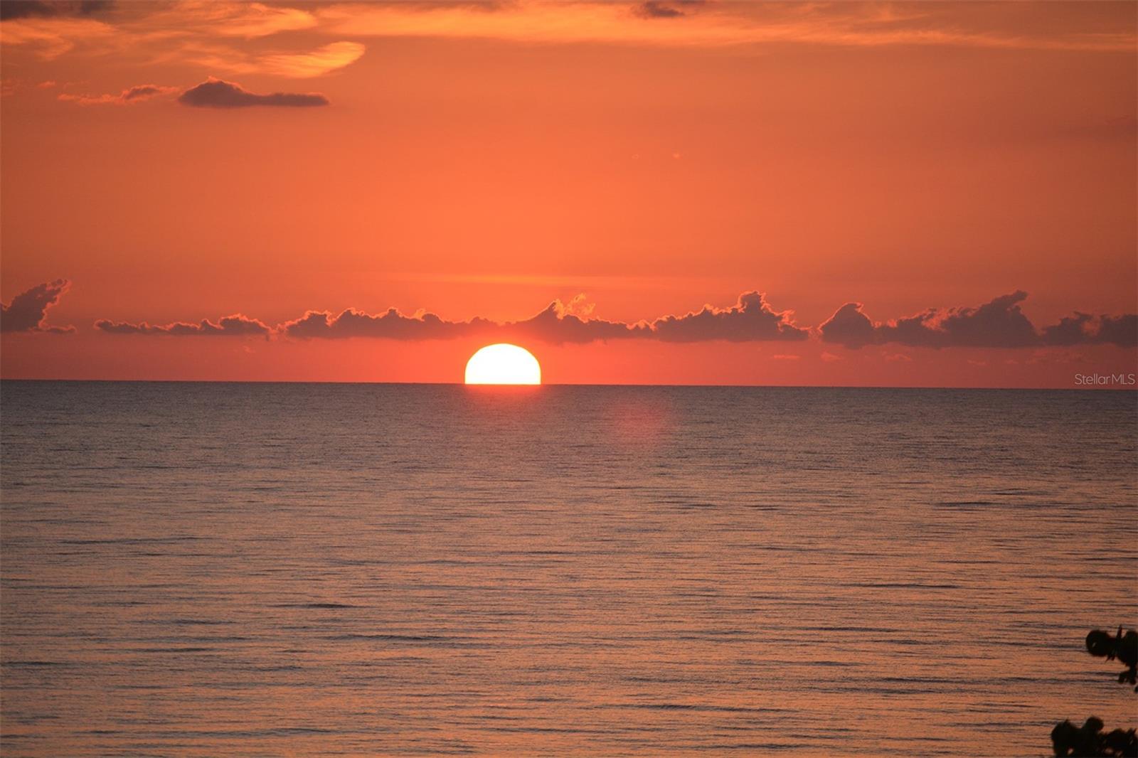 1241 GULF OF MEXICO DR #803