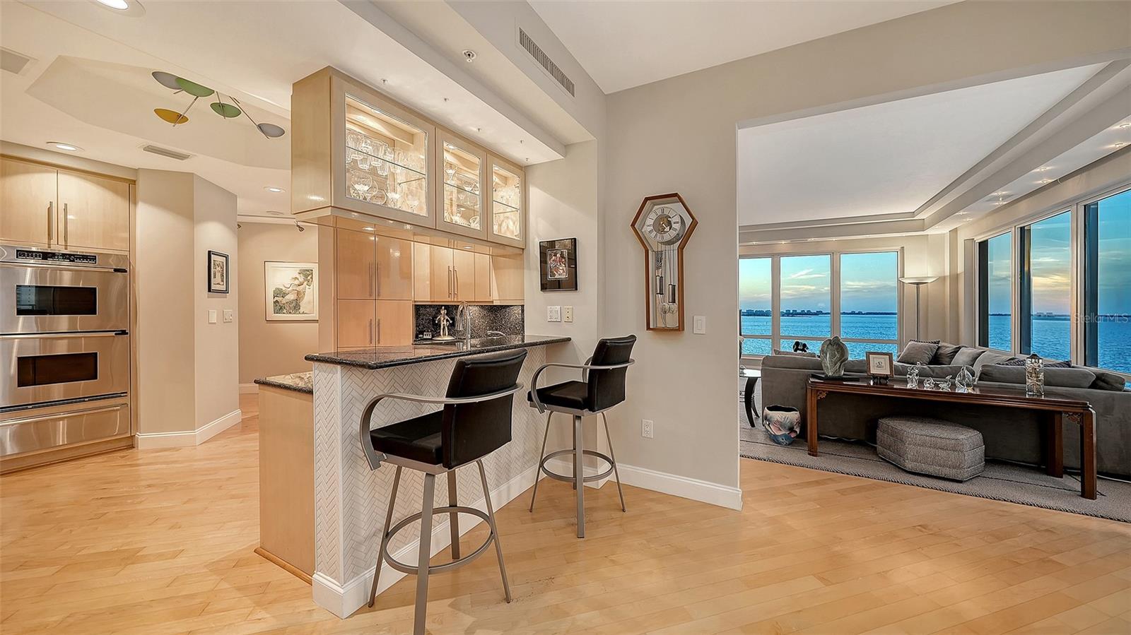 35 WATERGATE DR #1005