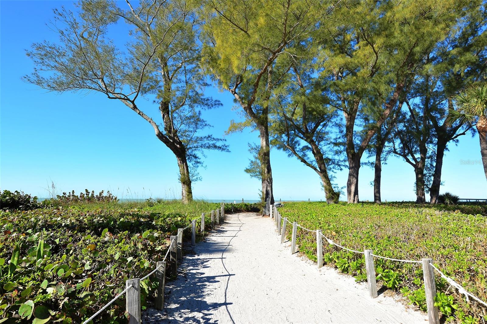 5055 GULF OF MEXICO DR #411