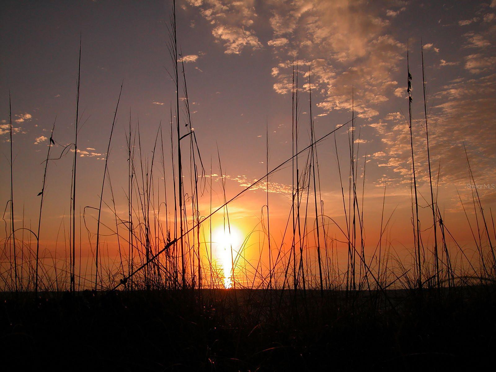 5055 GULF OF MEXICO DR #412