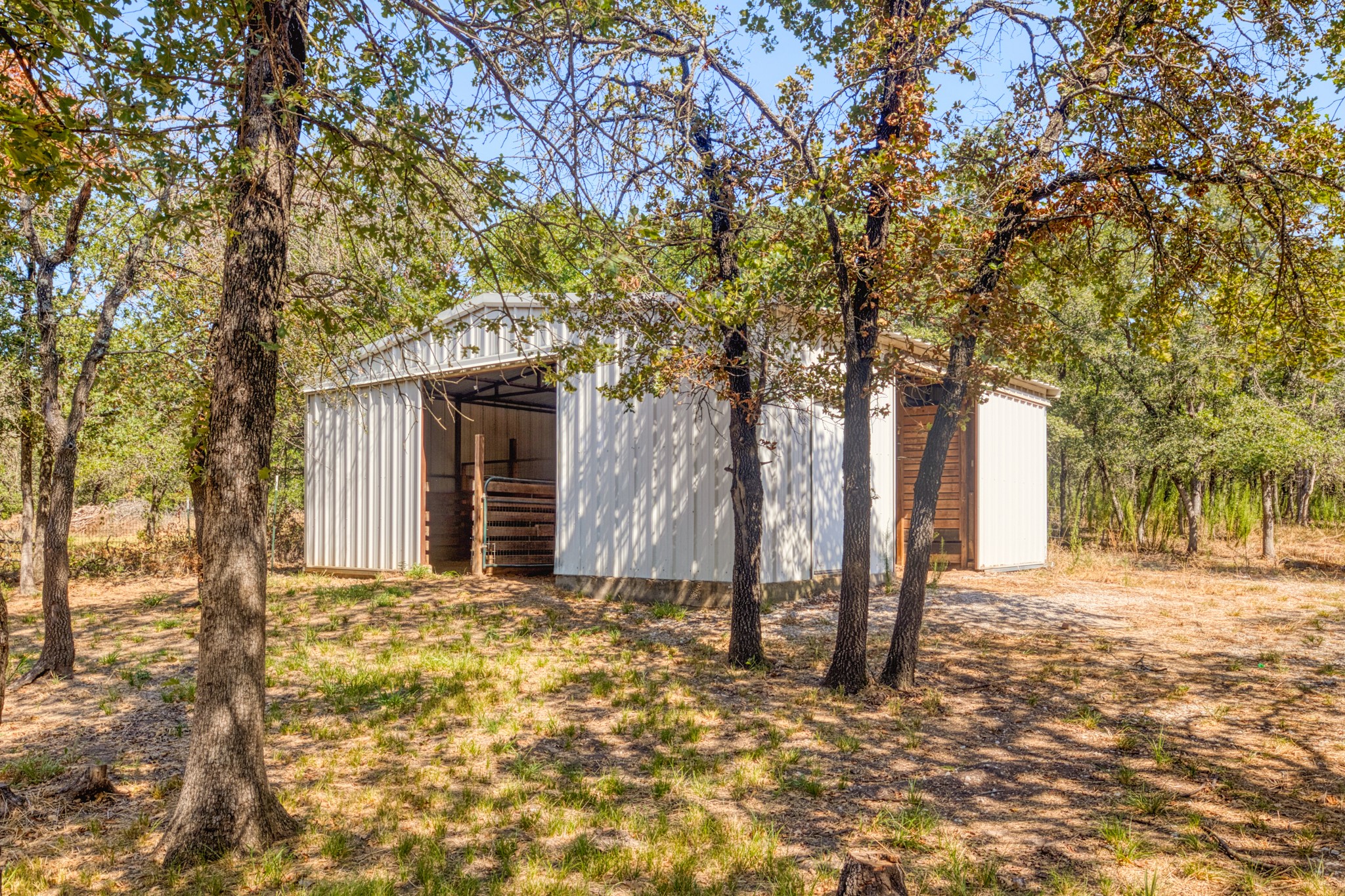 1635 County Road 4781