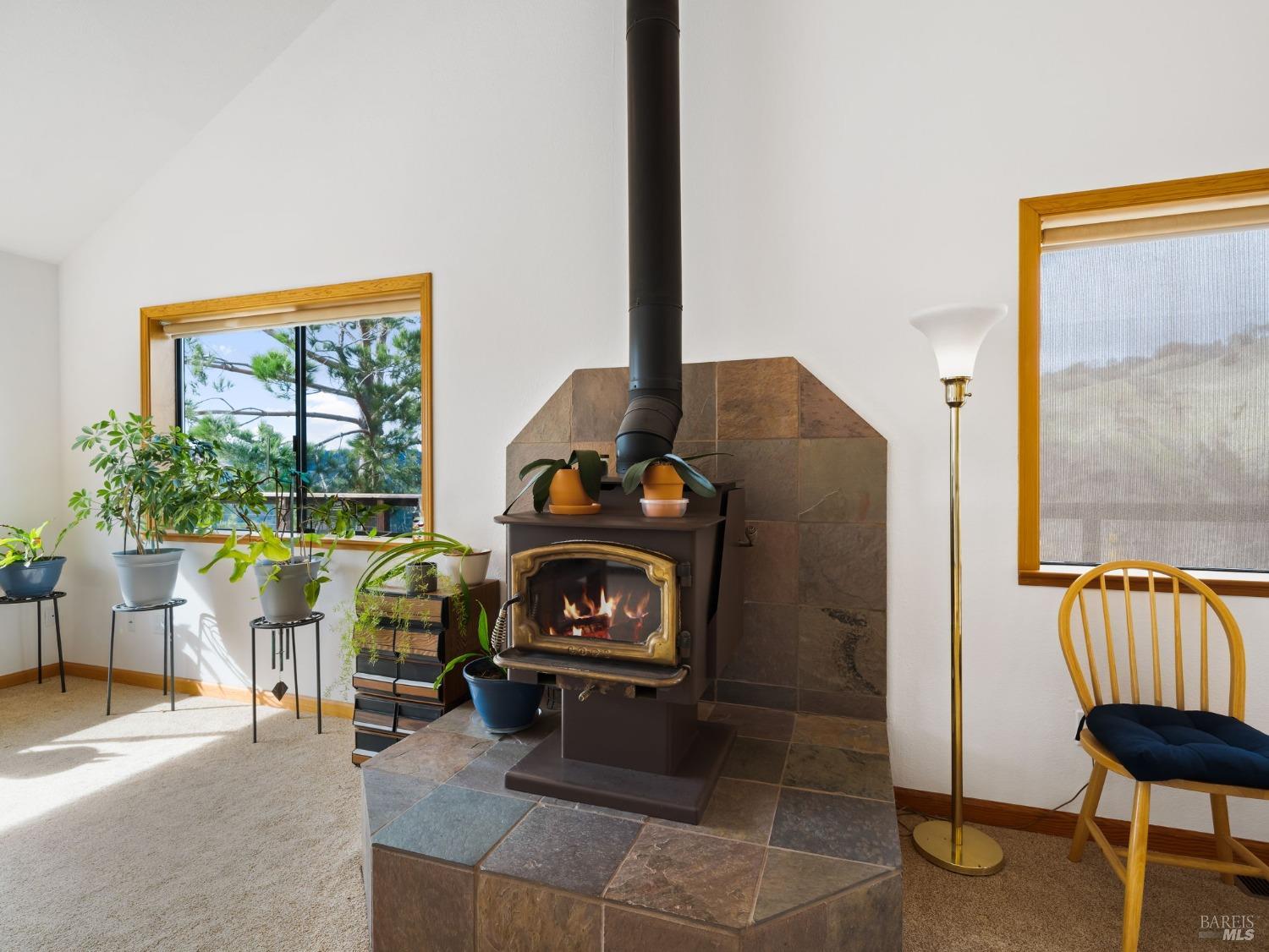 11300 Stewarts Point Skaggs Springs Rd