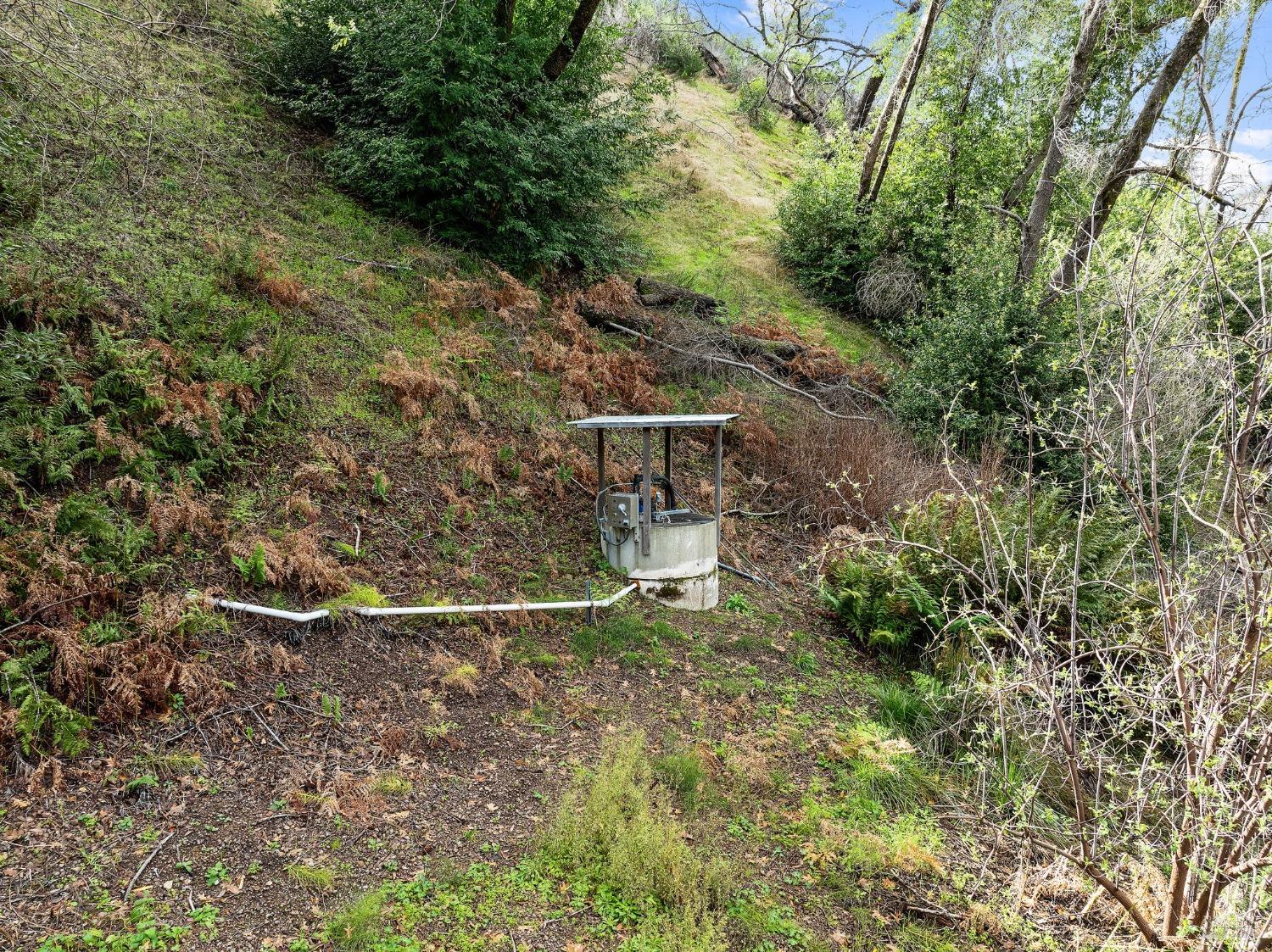 11300 Stewarts Point Skaggs Springs Rd