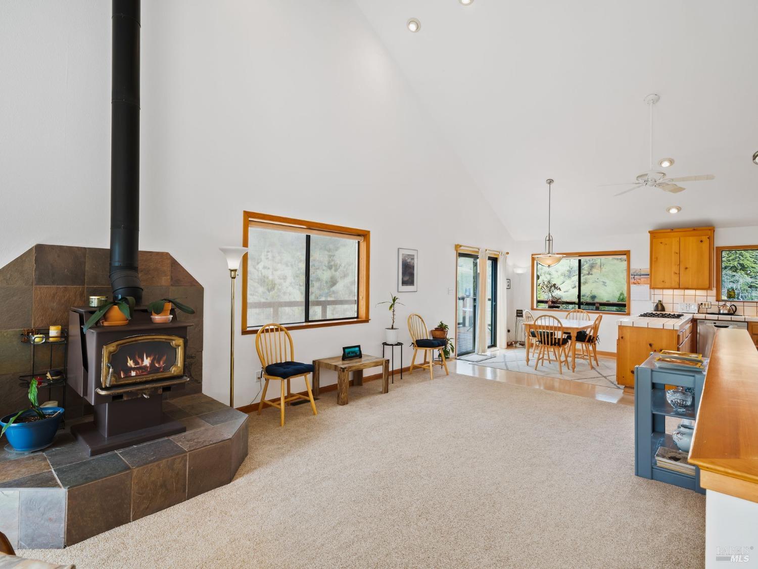 11300 Stewarts Point Skaggs Springs Rd