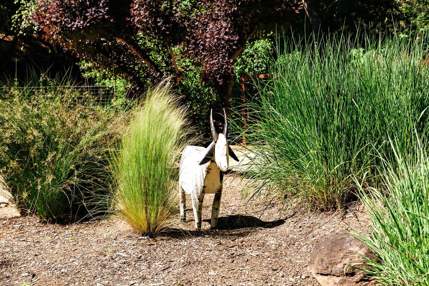 2859 Wallace Creek Rd