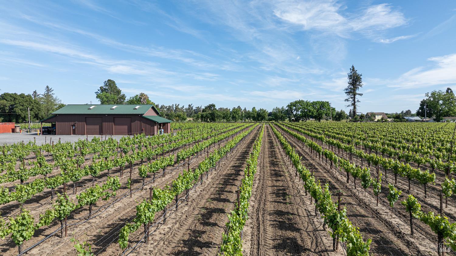 0 390 Magnolia Drive