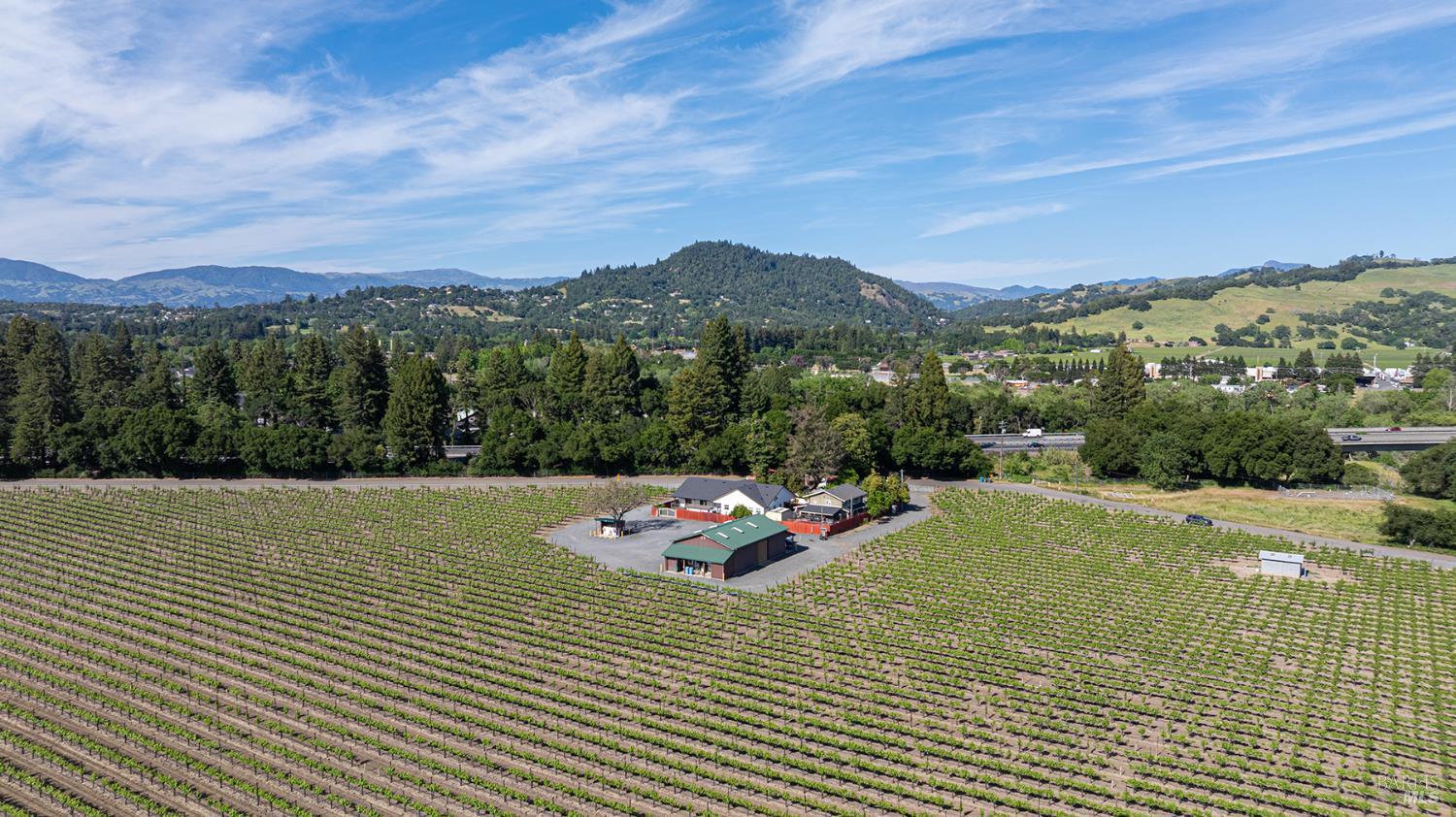 0 390 Magnolia Drive