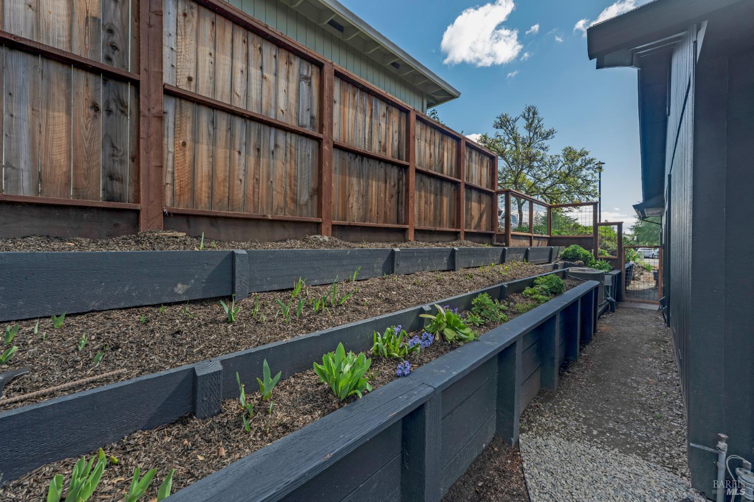 531 Jachetta Court