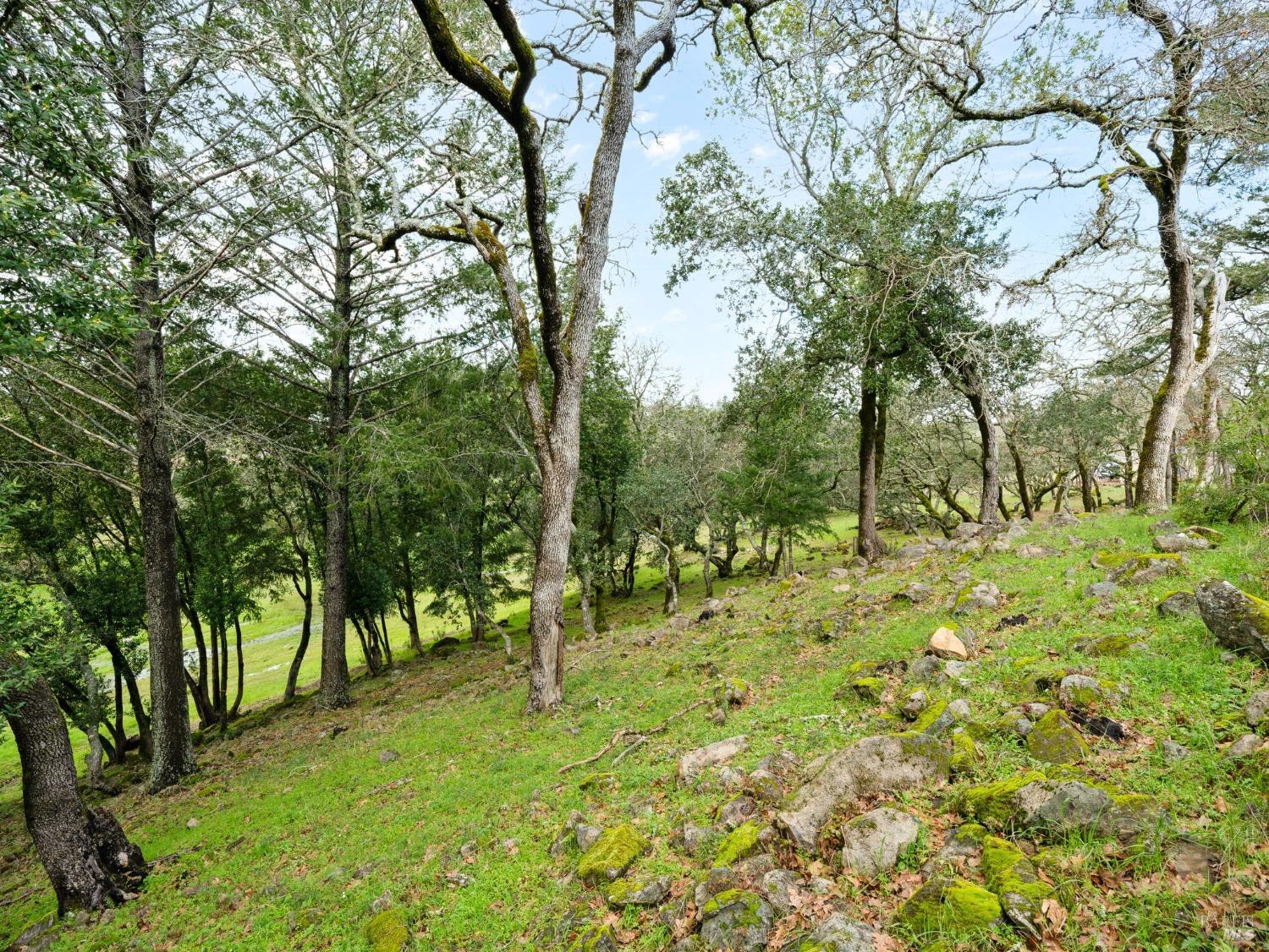 2924 Old Bennett Ridge Road