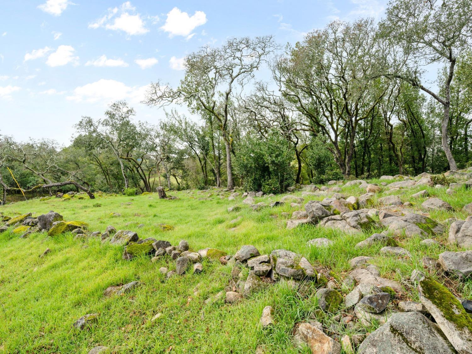 2924 Old Bennett Ridge Road