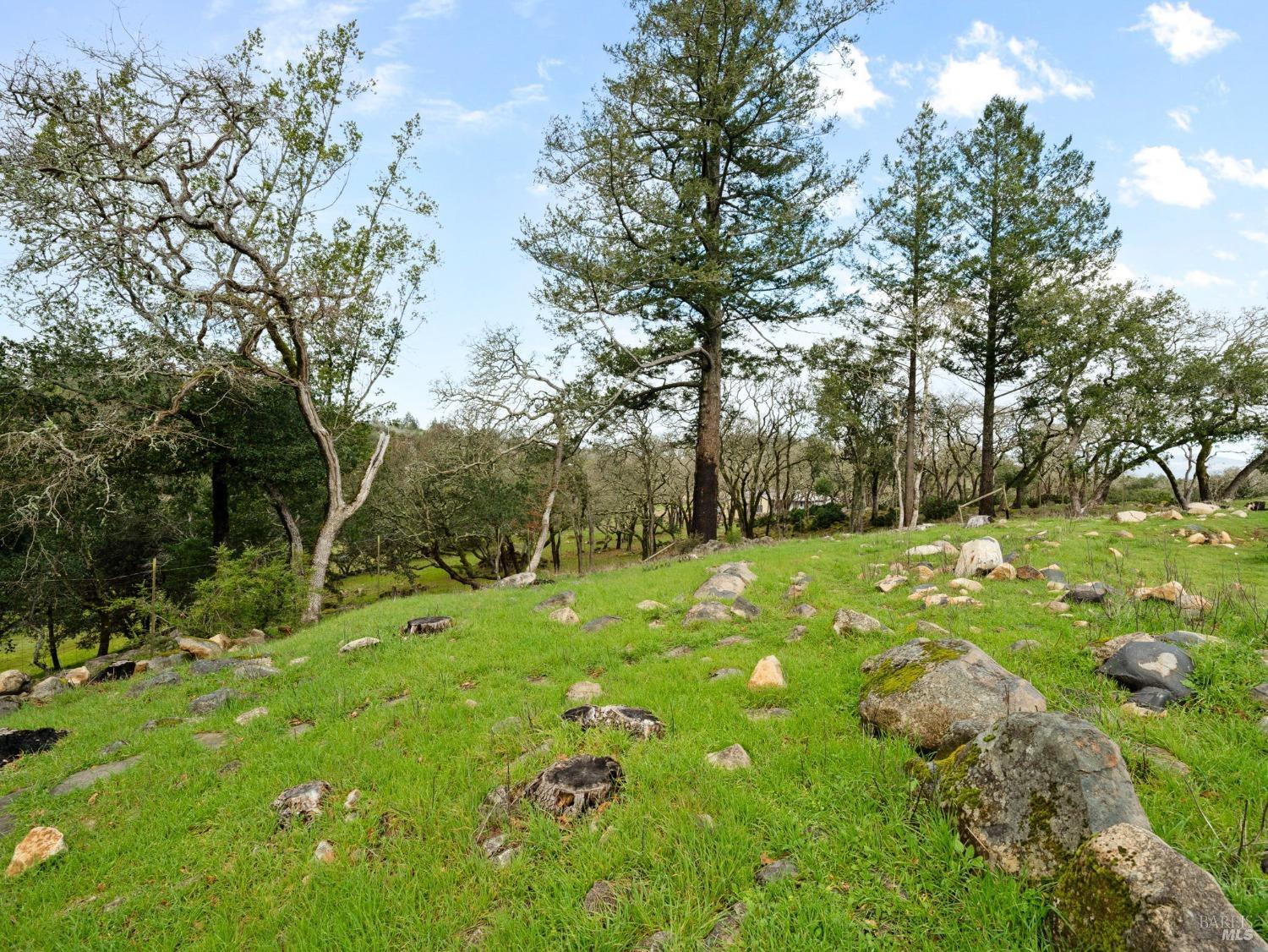 2924 Old Bennett Ridge Road