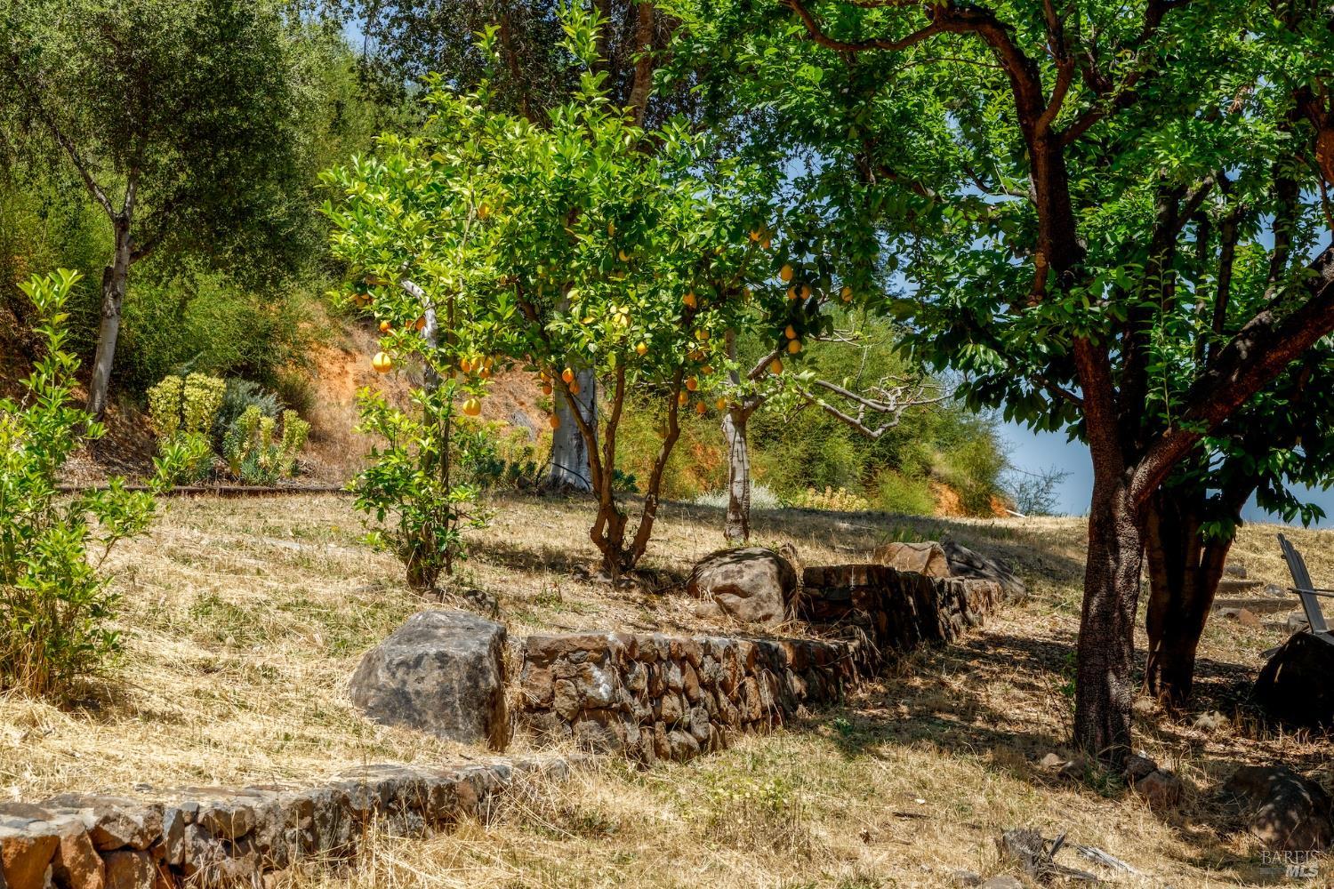 6600 Mill Creek Road