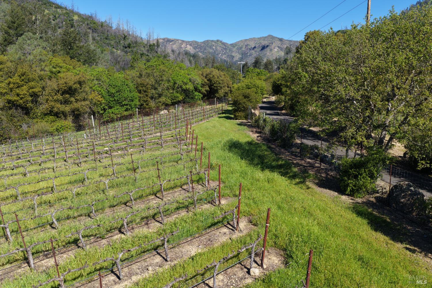 255 Dutch Henry Canyon Road