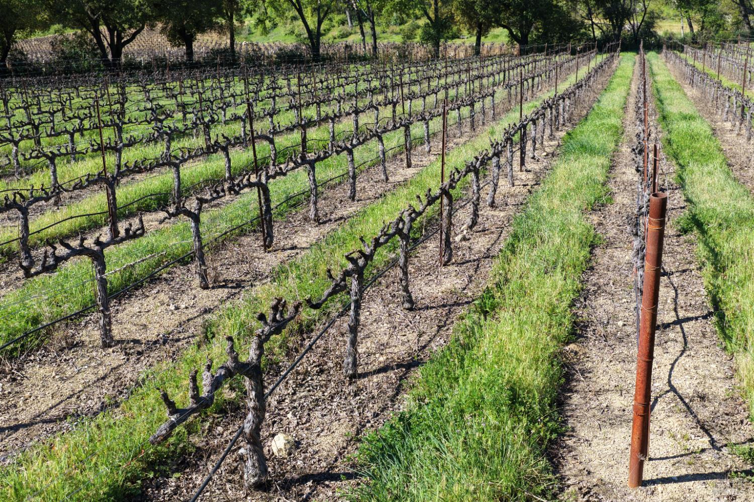 255 Dutch Henry Canyon Road