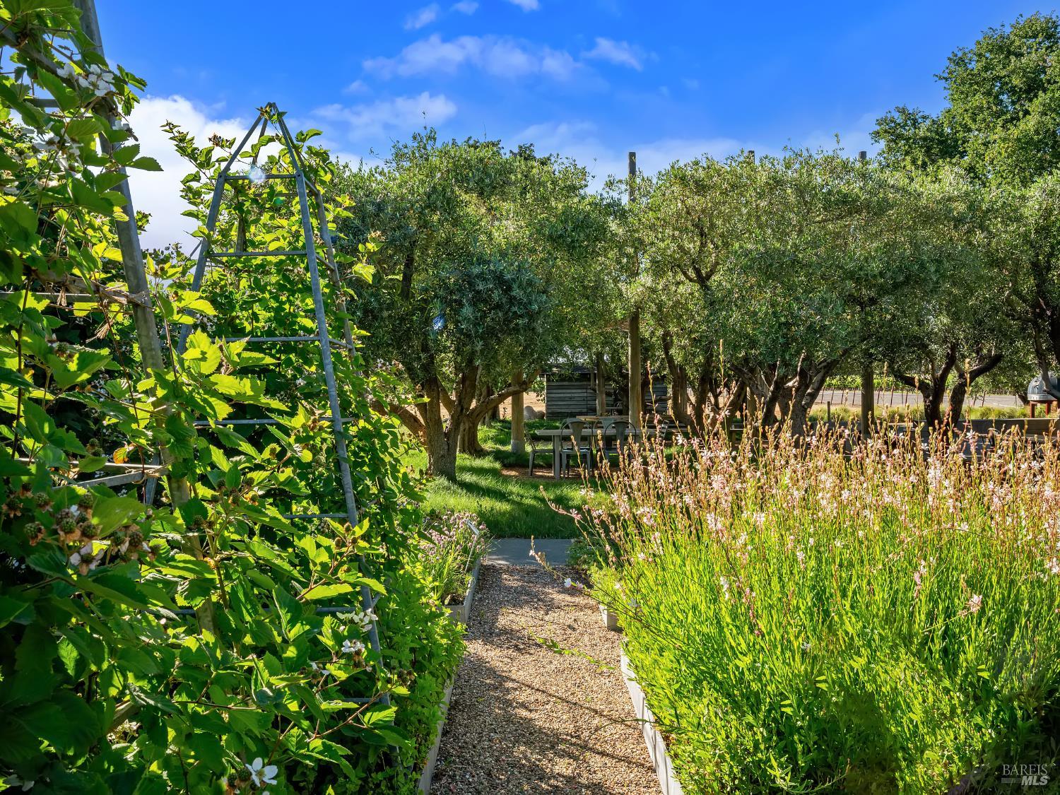 3487 Alexander Valley Road