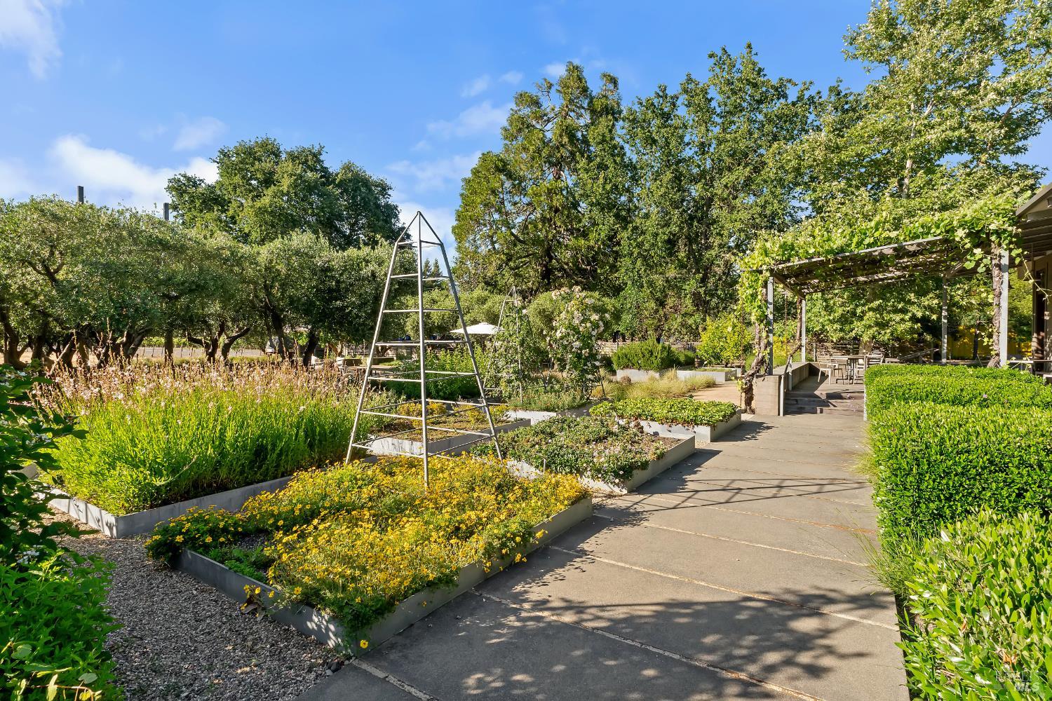 3487 Alexander Valley Road