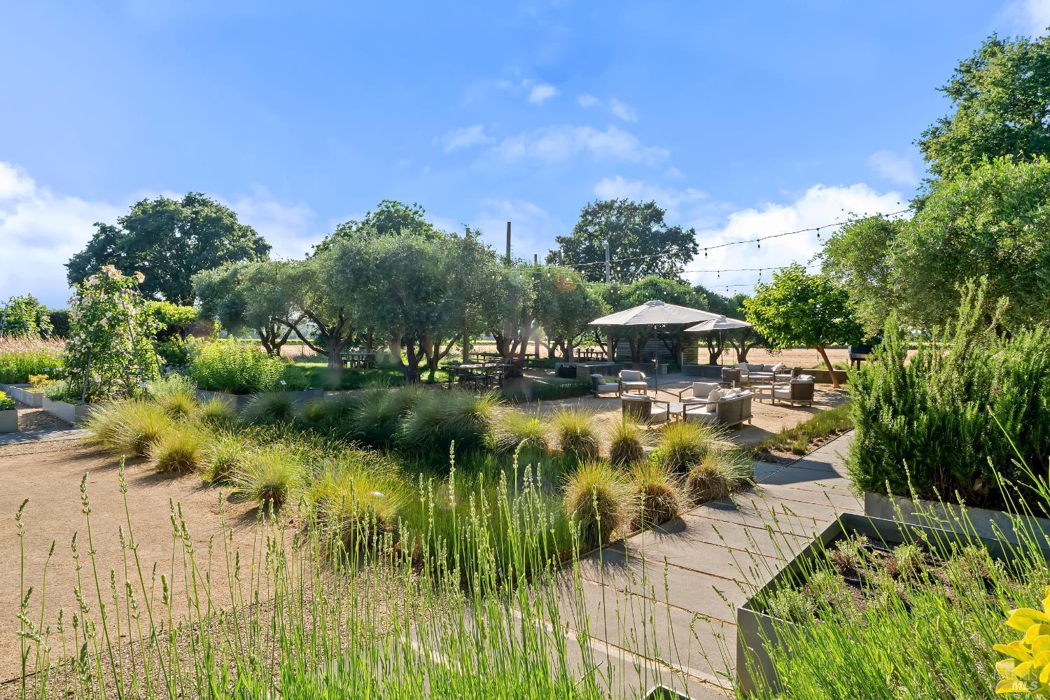 3487 Alexander Valley Road