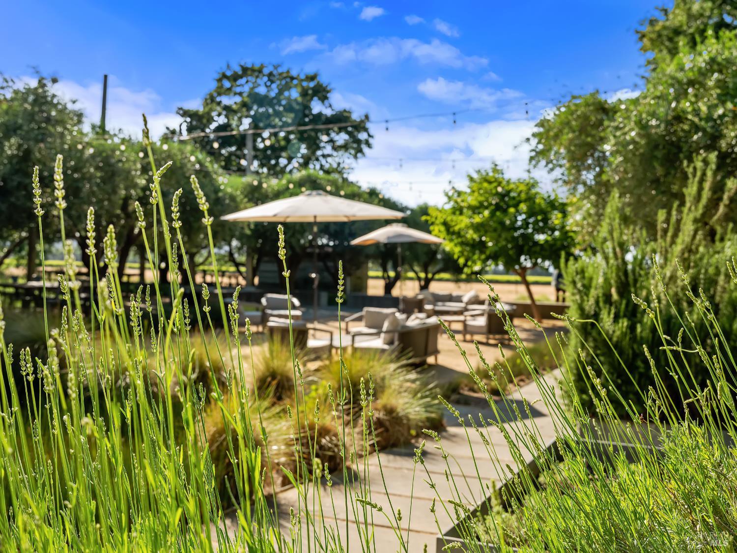 3487 Alexander Valley Road