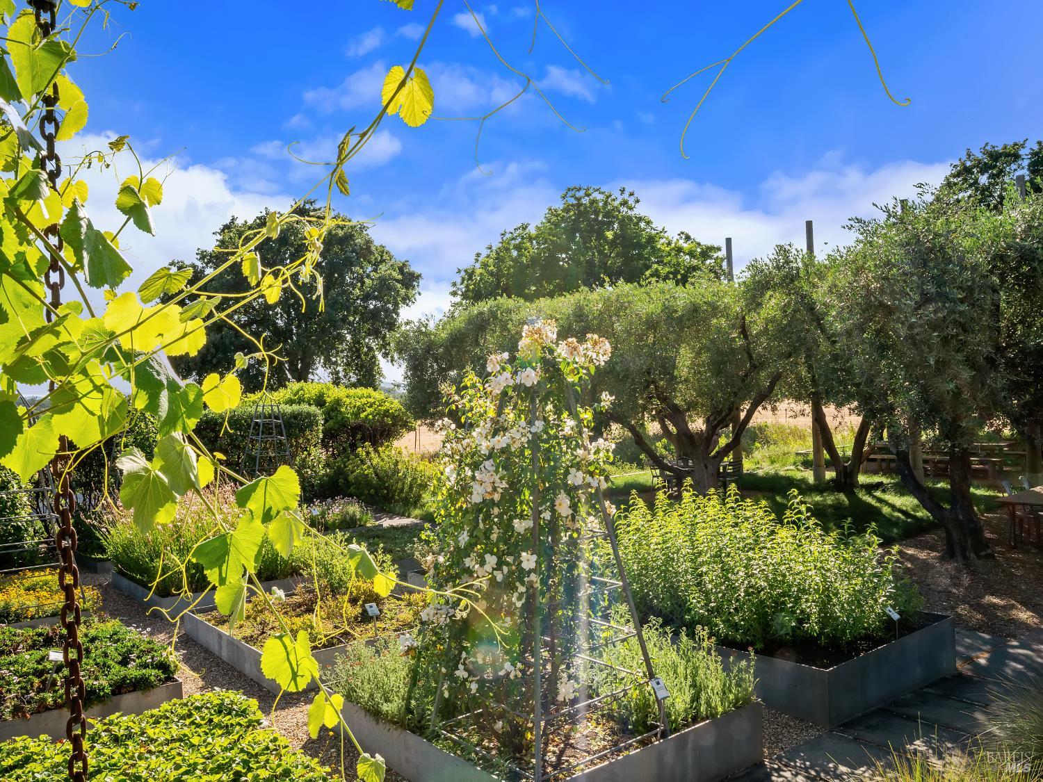 3487 Alexander Valley Road