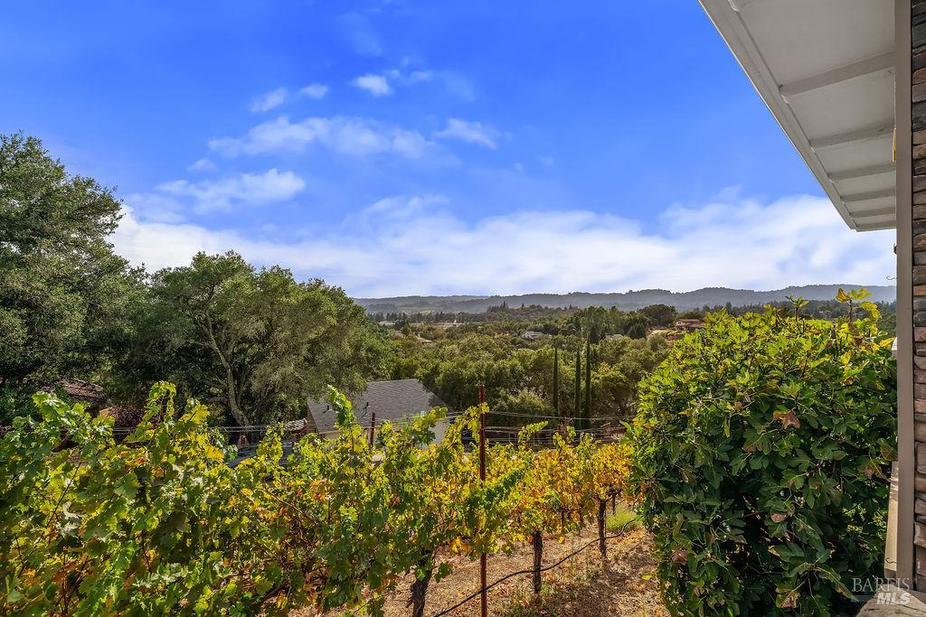 235 Clear Ridge Drive