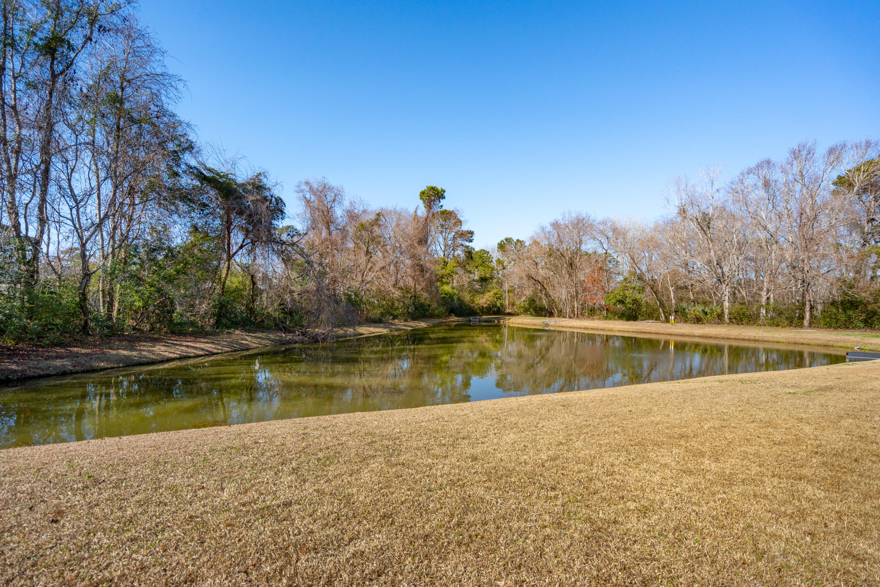 1469 Swamp Fox Lane