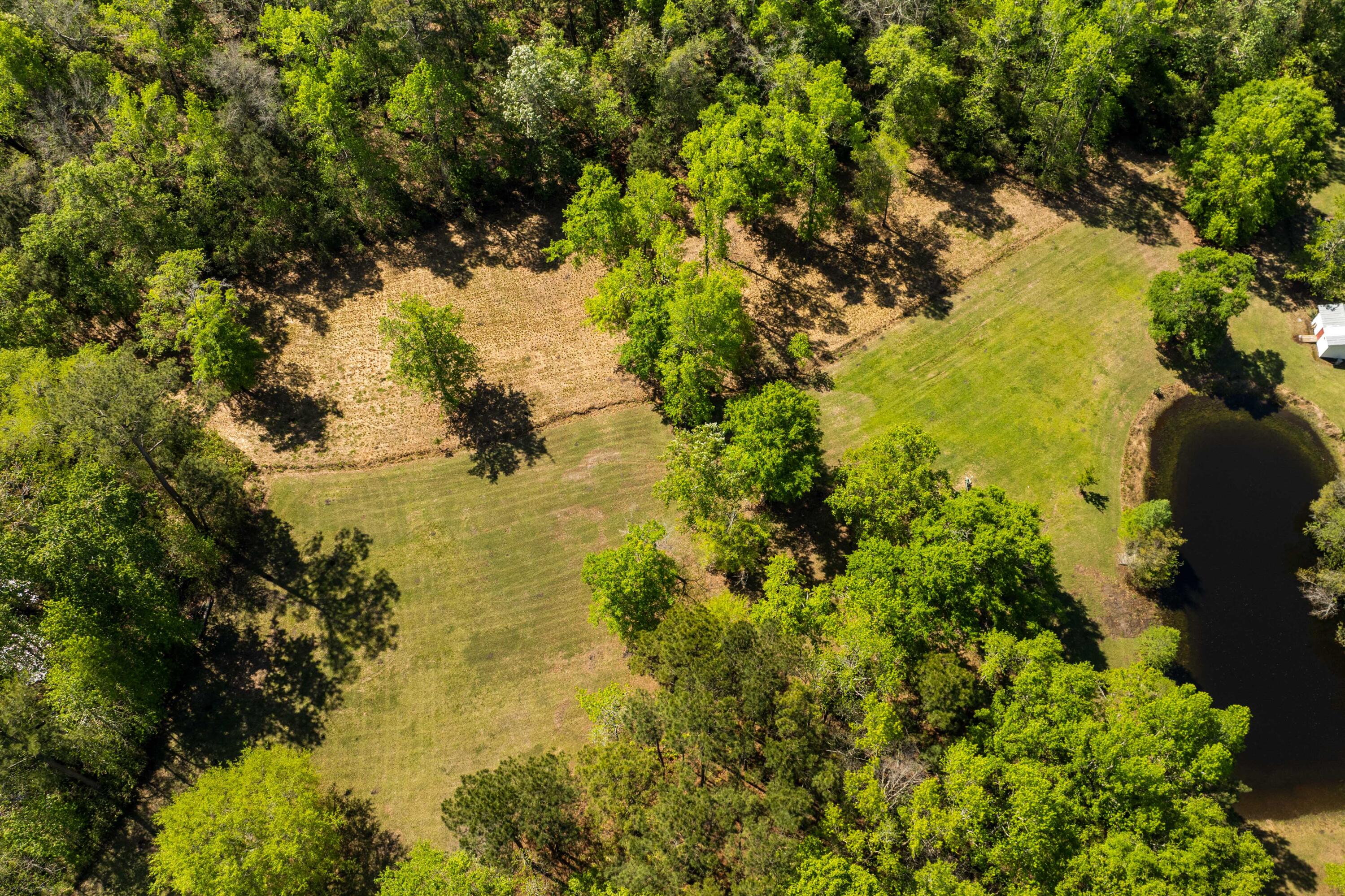 5680 Dixie Plantation Road
