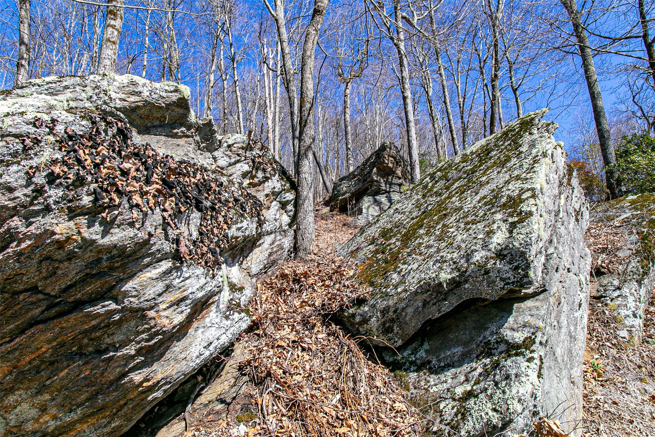 105 Boulder Knob Drive
