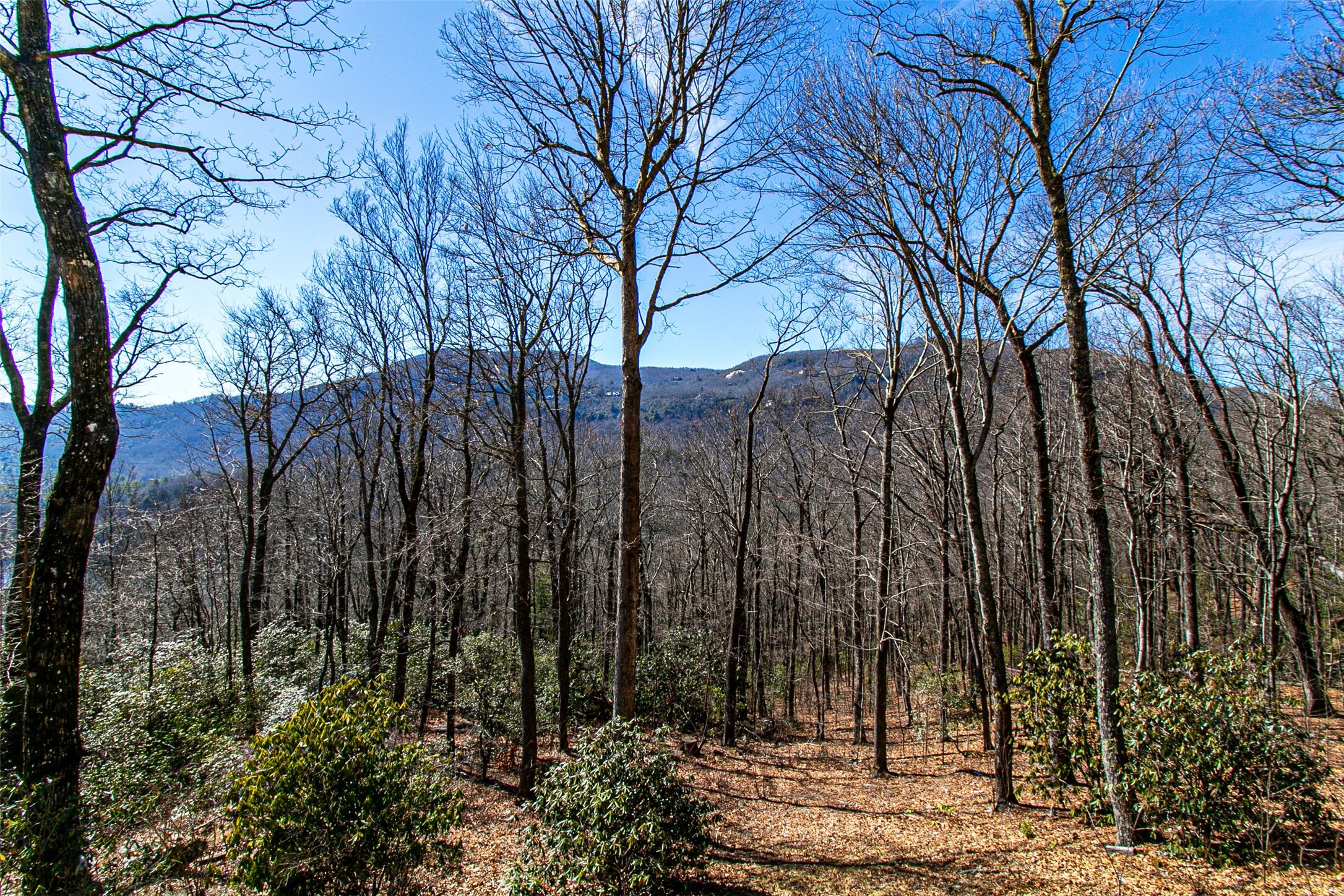 105 Boulder Knob Drive