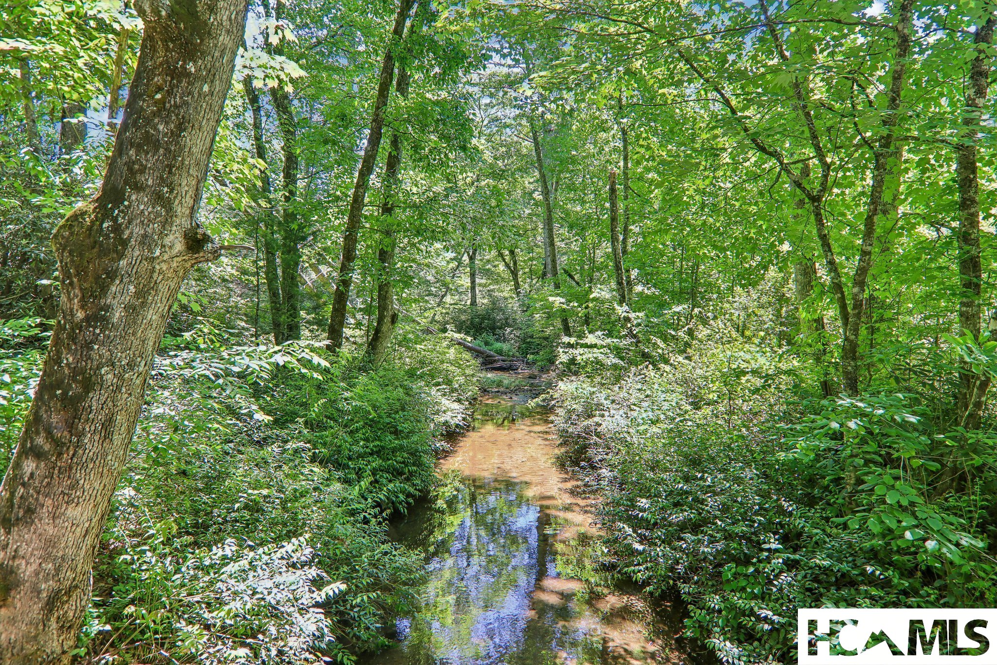 127 Short Road