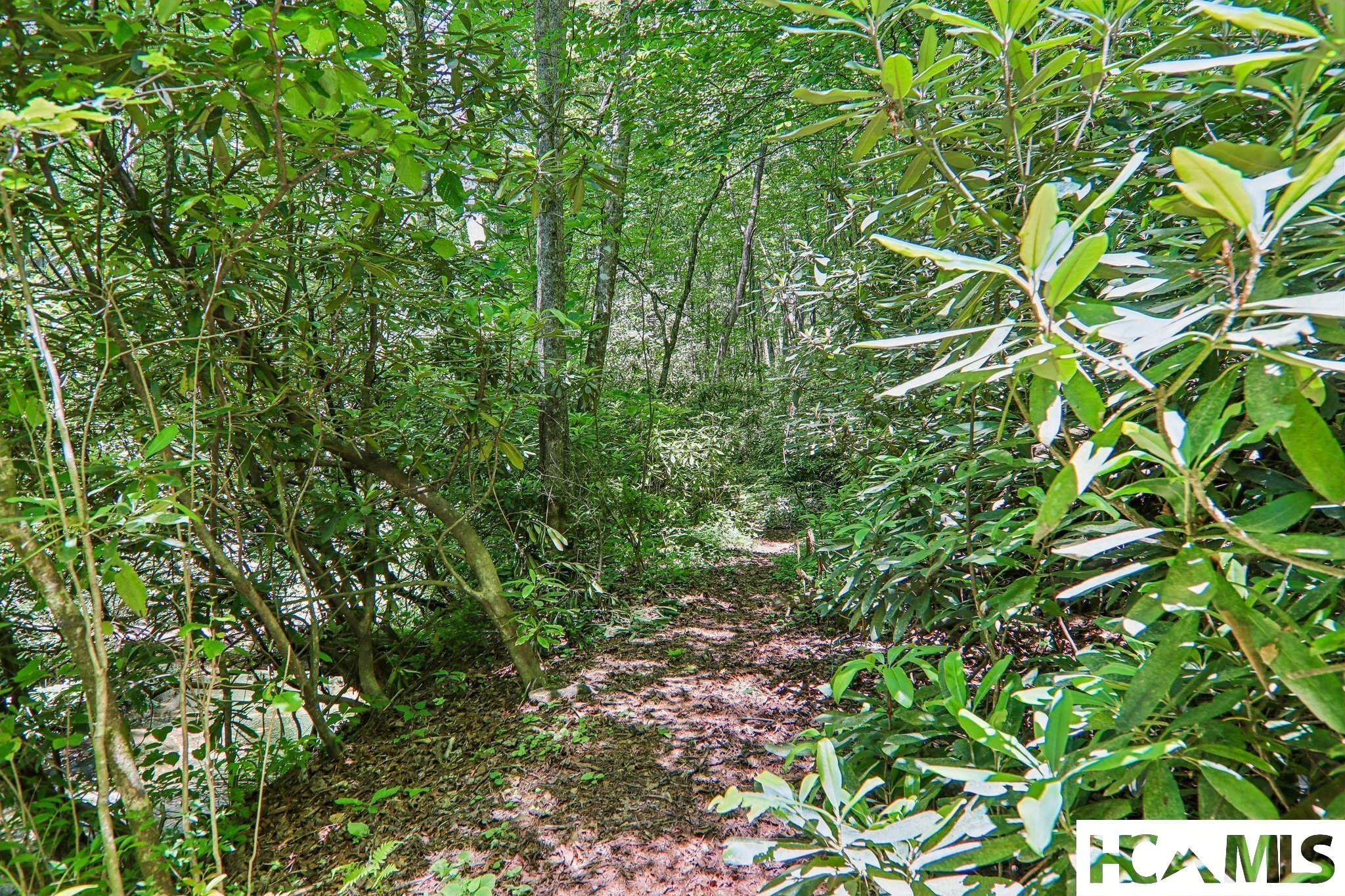 127 Short Road