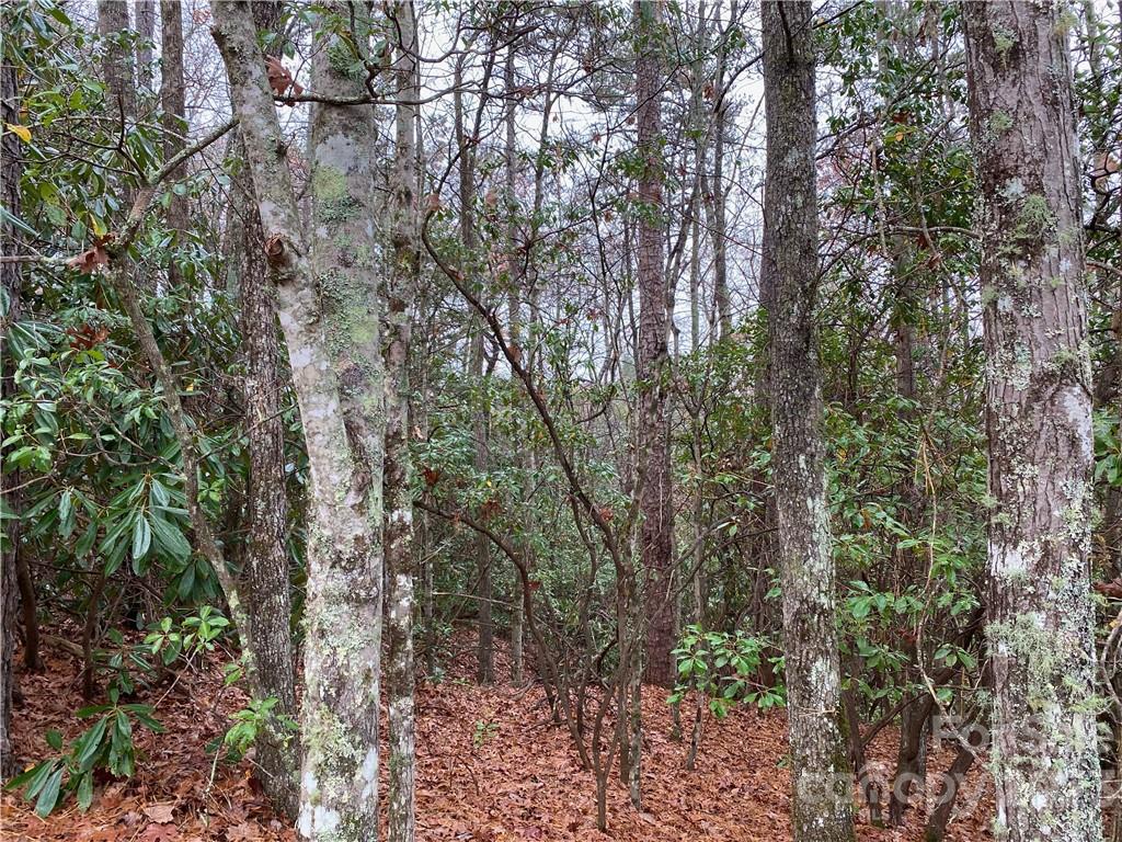 M30 Elk Mountain Trail