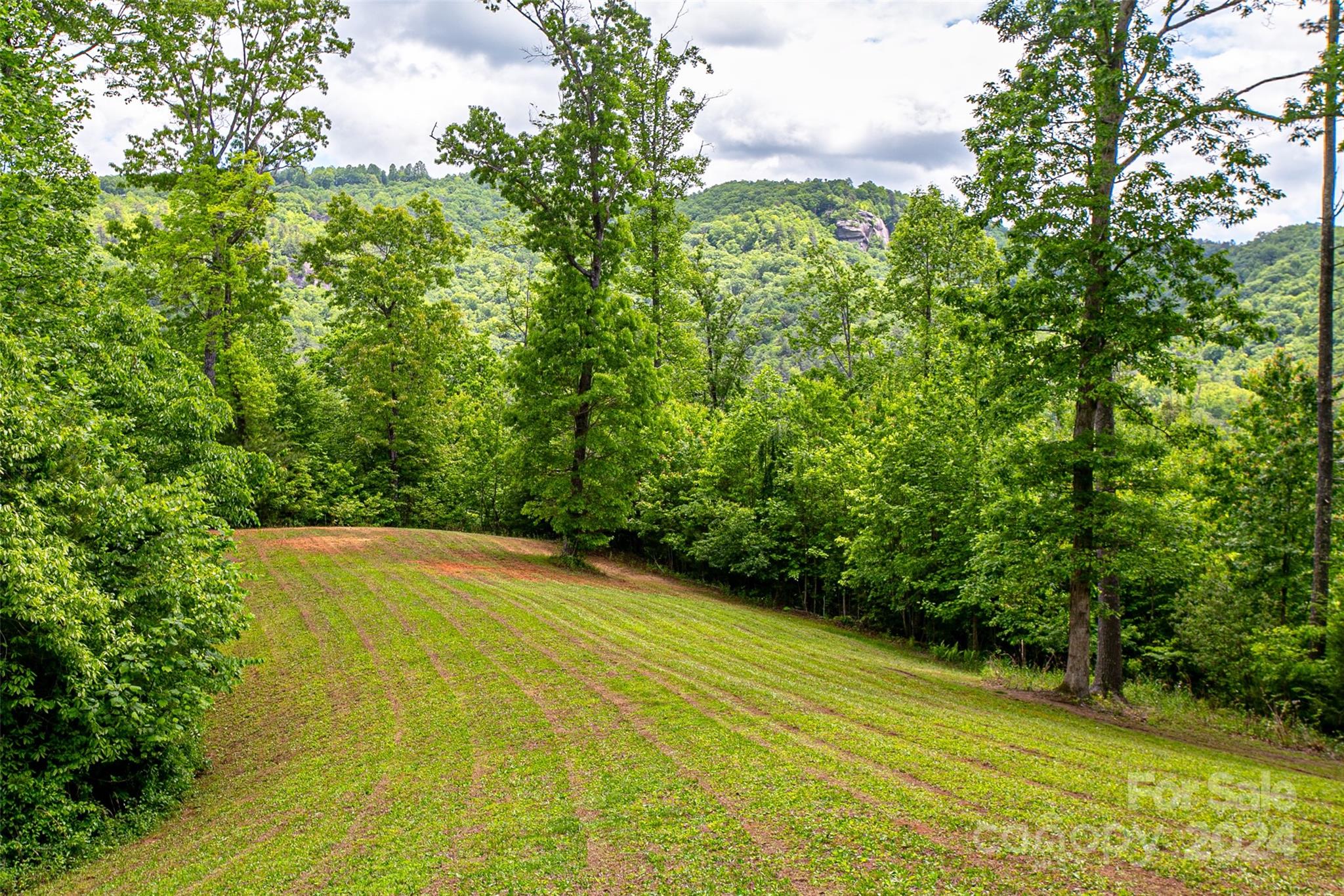 407 Barclay Farm Road