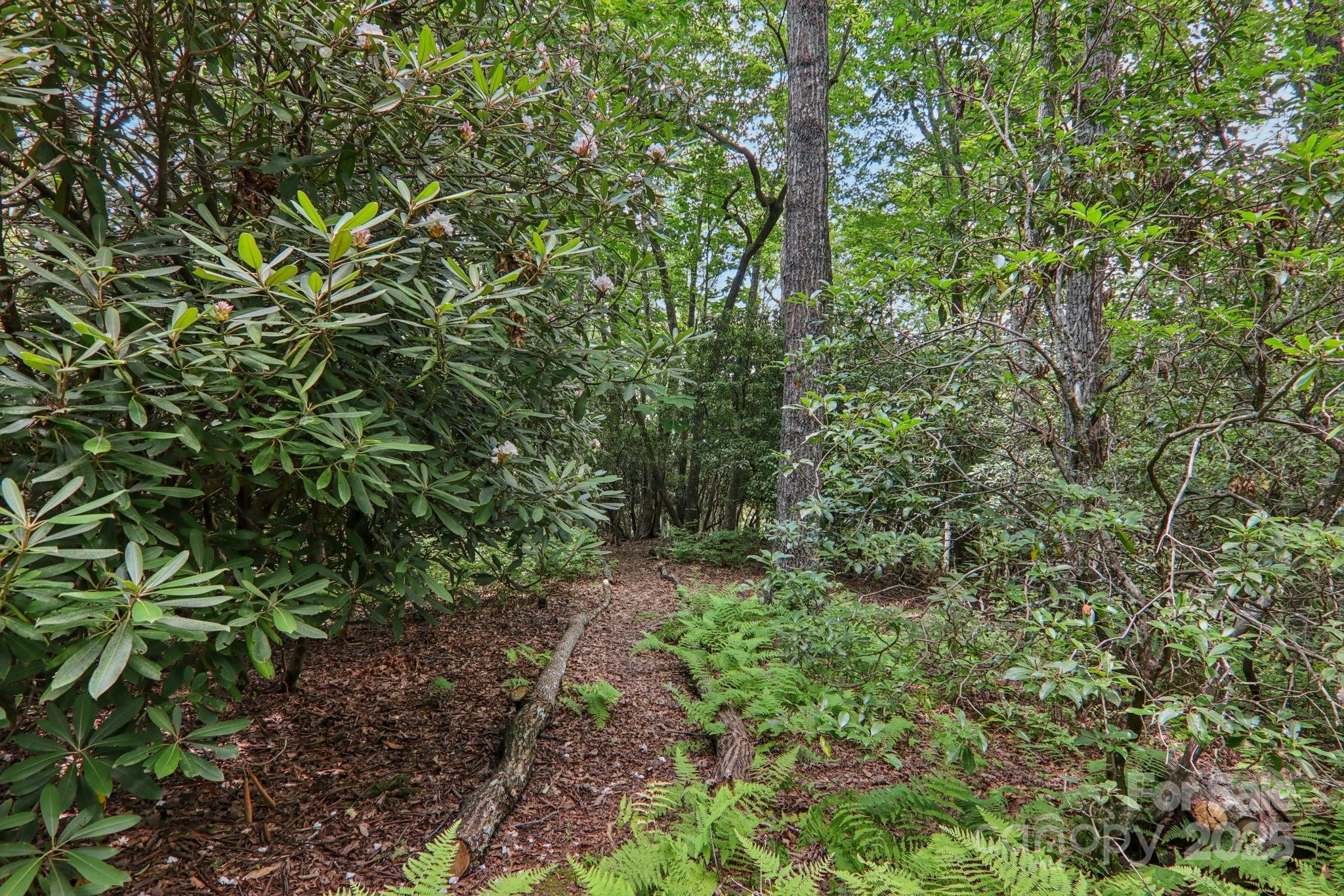 1184 Salola Lane