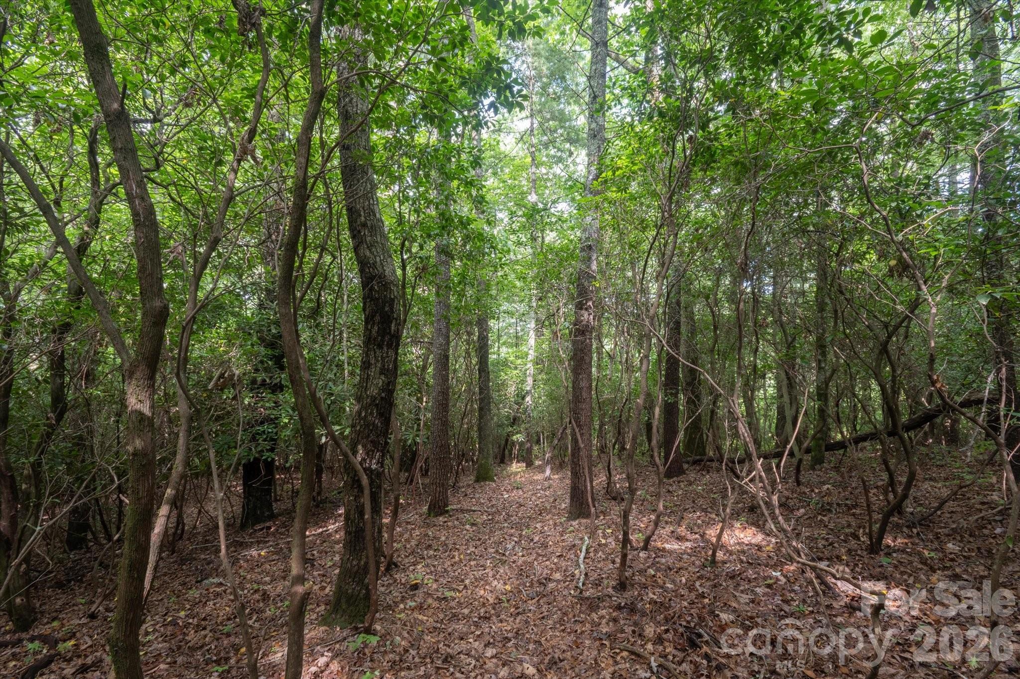 K29 Chestnut Trace Unit: K 29