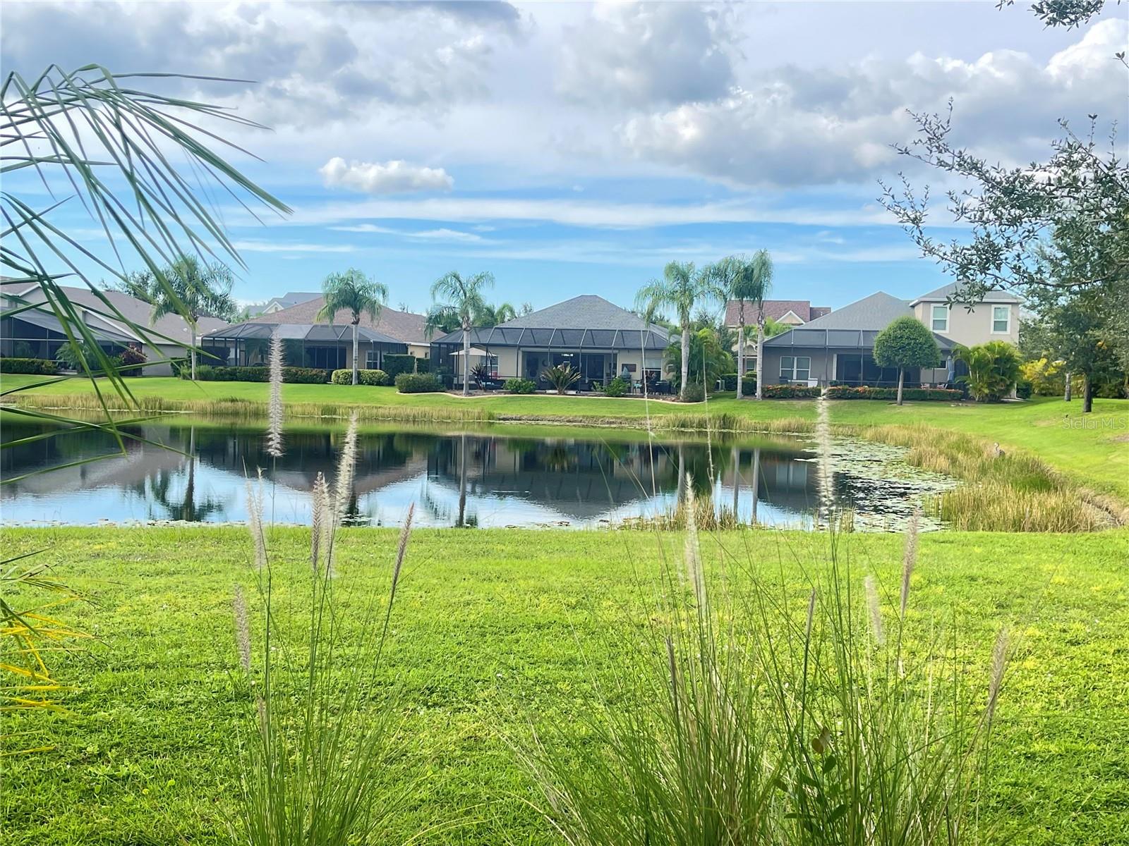 11641 PIEDMONT PARK CROSSING