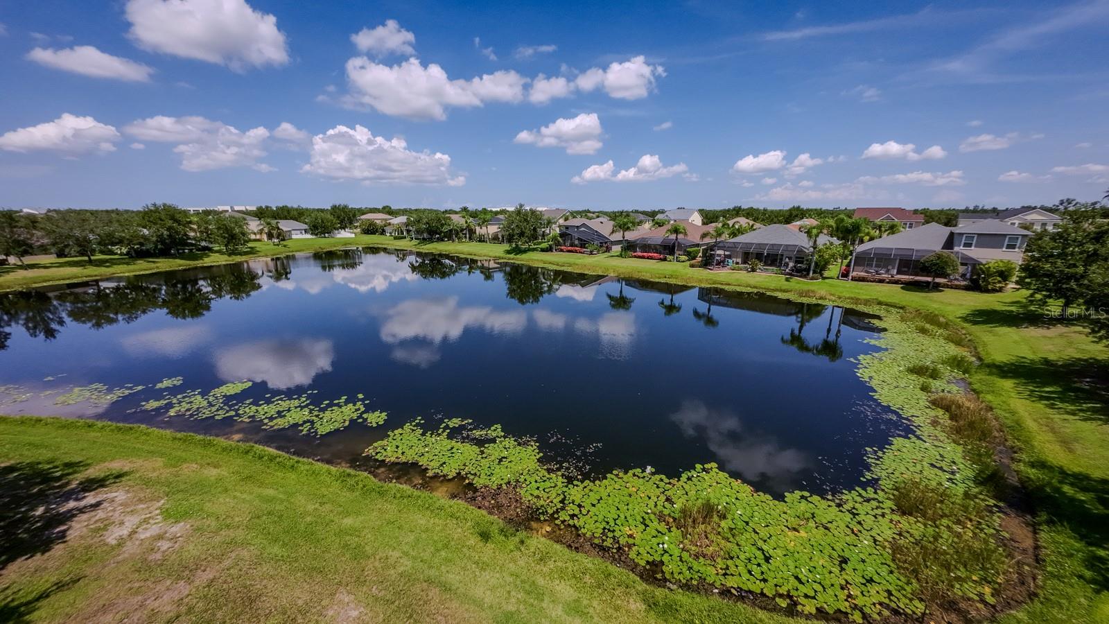 11641 PIEDMONT PARK CROSSING