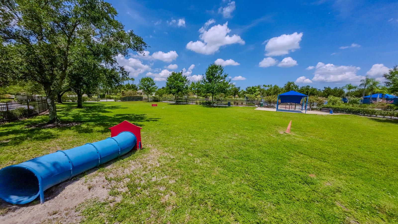 11641 PIEDMONT PARK CROSSING