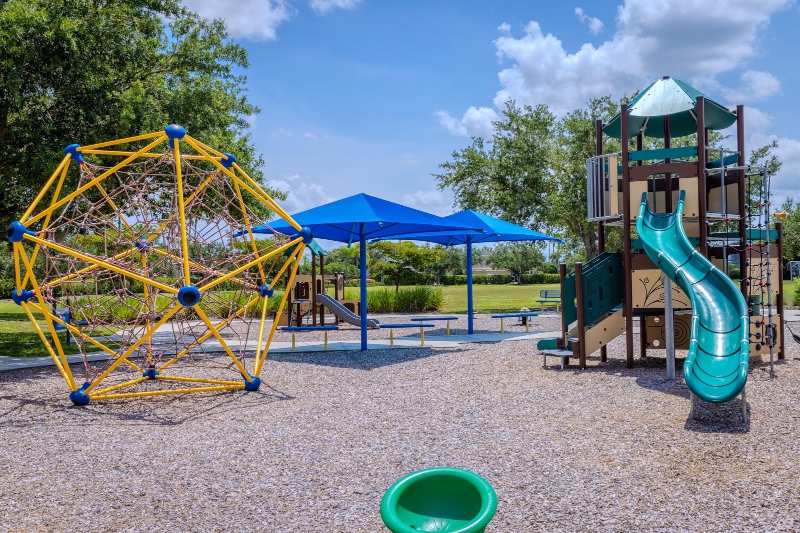 11641 PIEDMONT PARK CROSSING