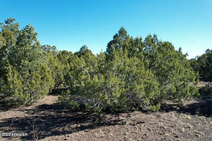 TBD Apache Woodlands Lot R --