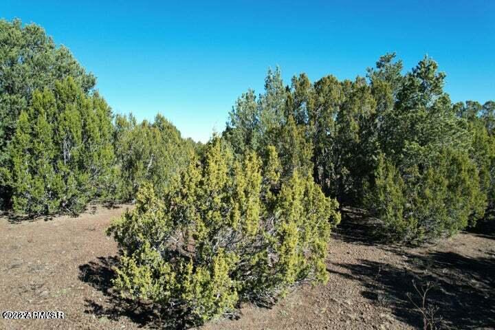 TBD Apache Woodlands Lot R --