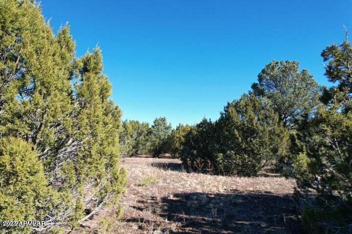 TBD Apache Woodlands Lot R --