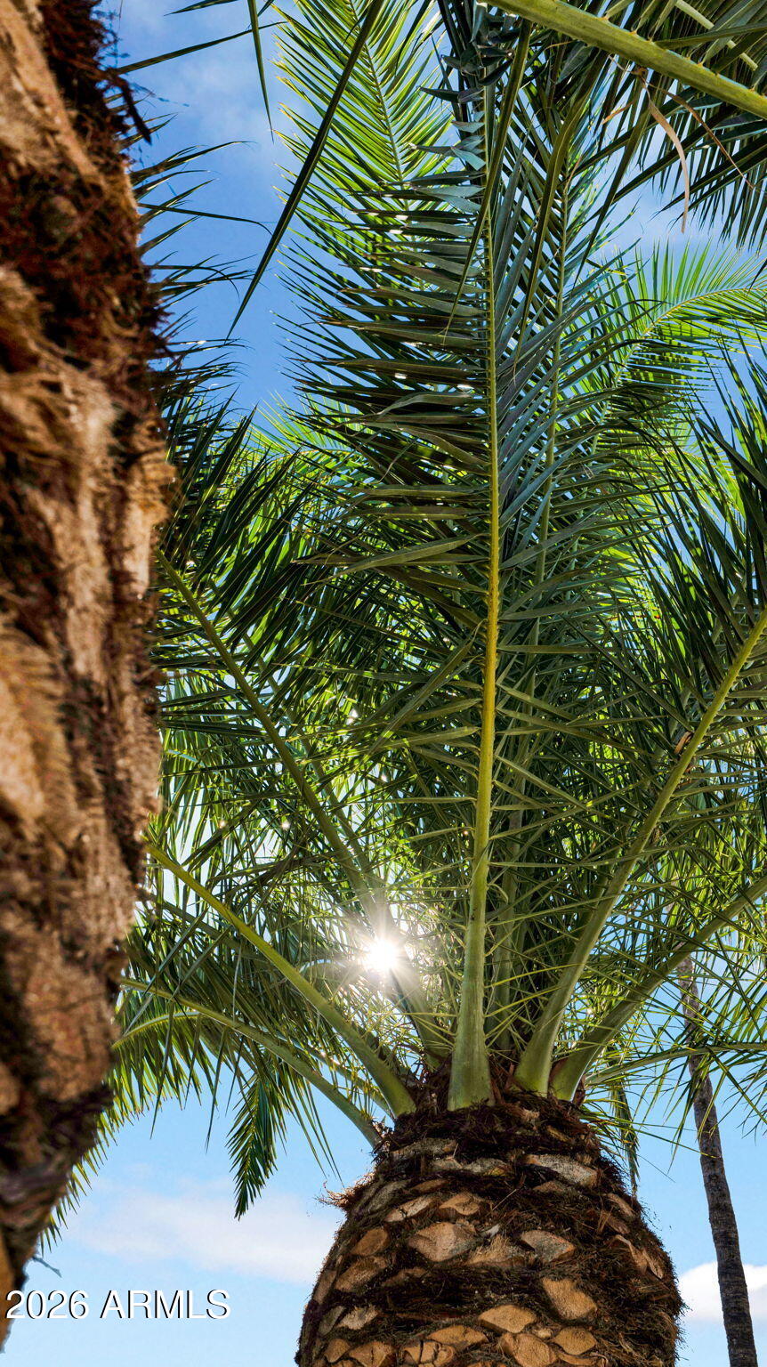 15625 N 20TH Street N